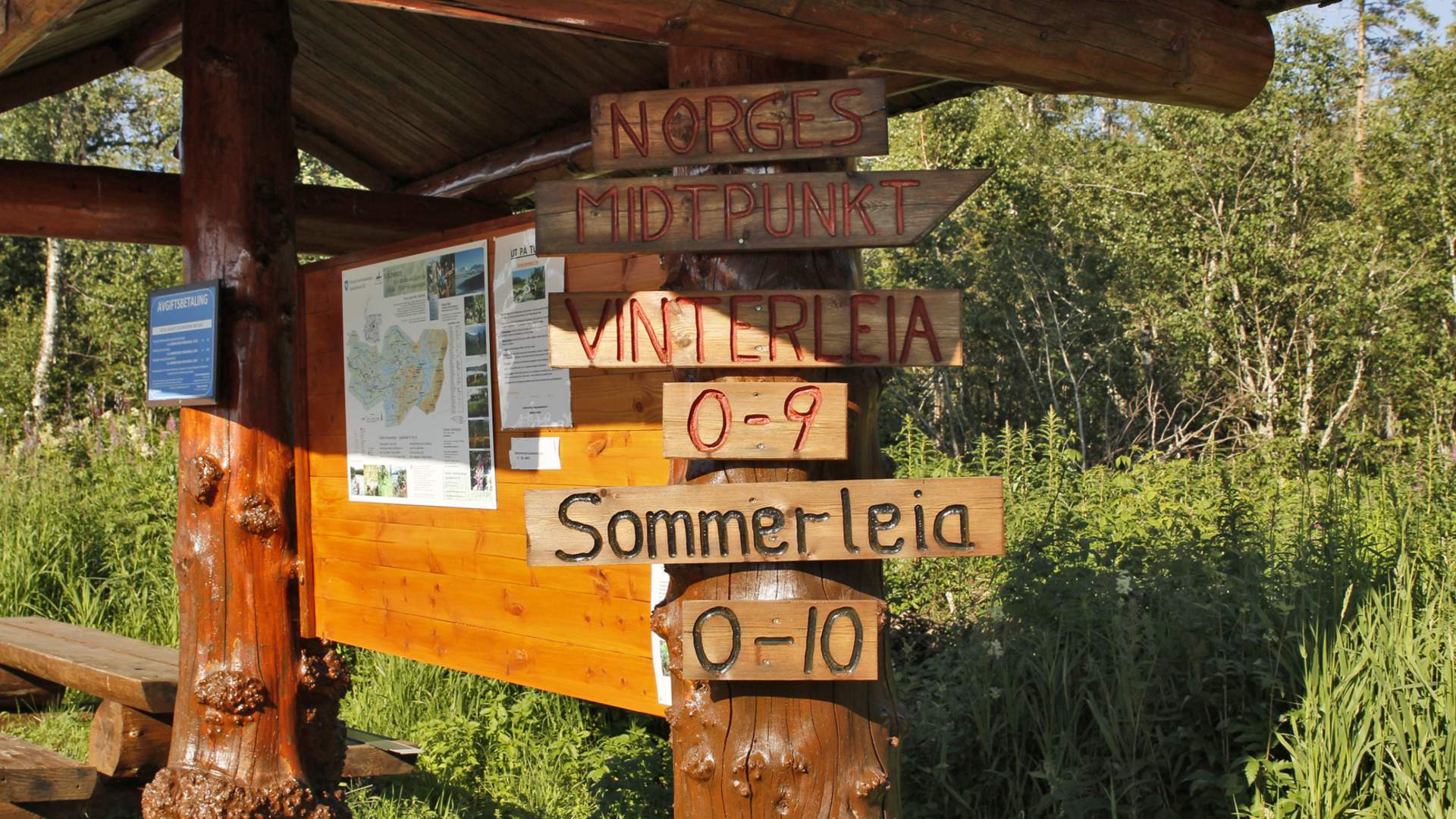 steinkjer steinkjer kommuneskoger vandring norges geografiske midtpunkt (5)