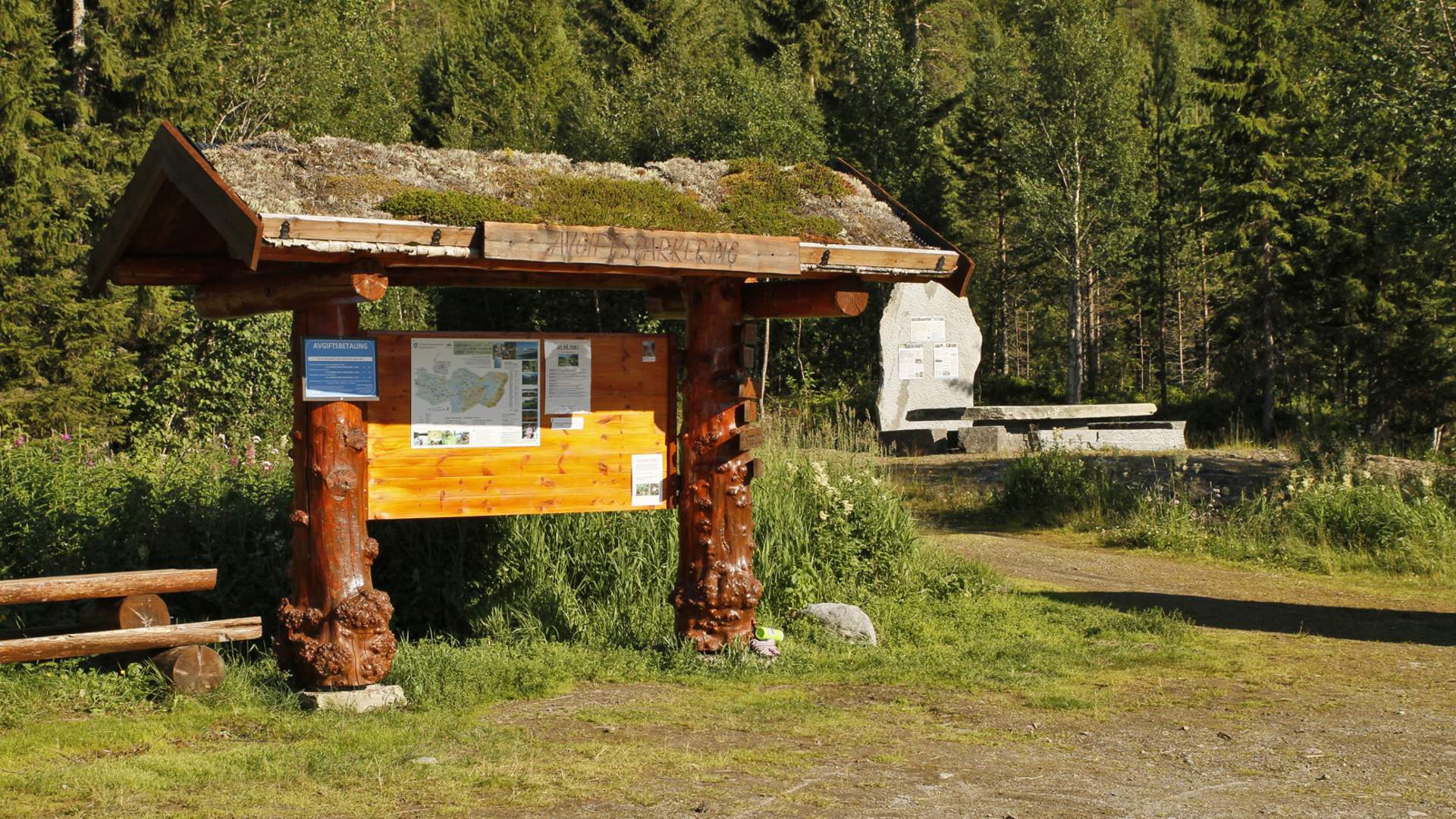 steinkjer steinkjer kommuneskoger vandring norges geografiske midtpunkt (7)