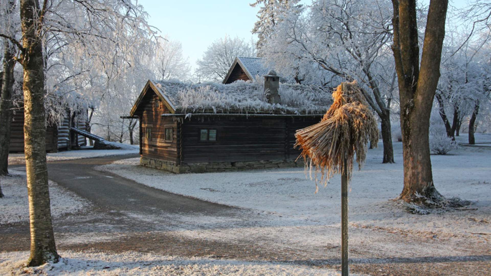 Vinter i Brekkeparken