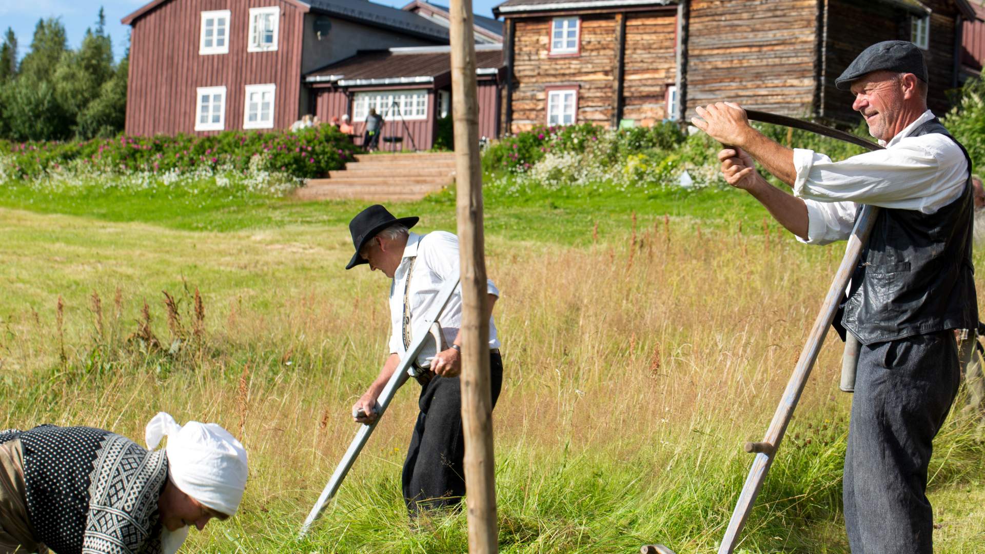 summer-farming