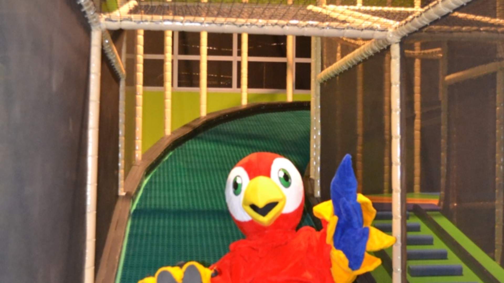 Amigos Playland