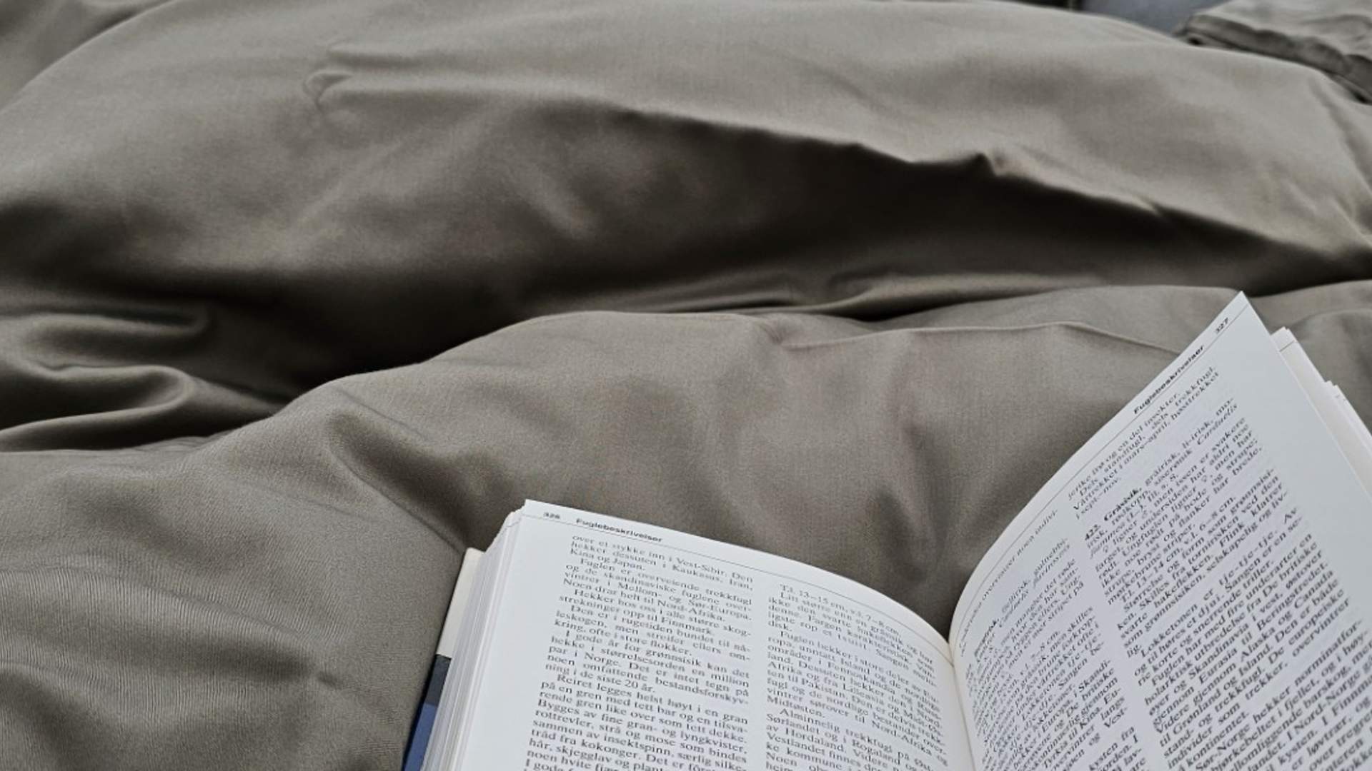 thumbnail_1000013525