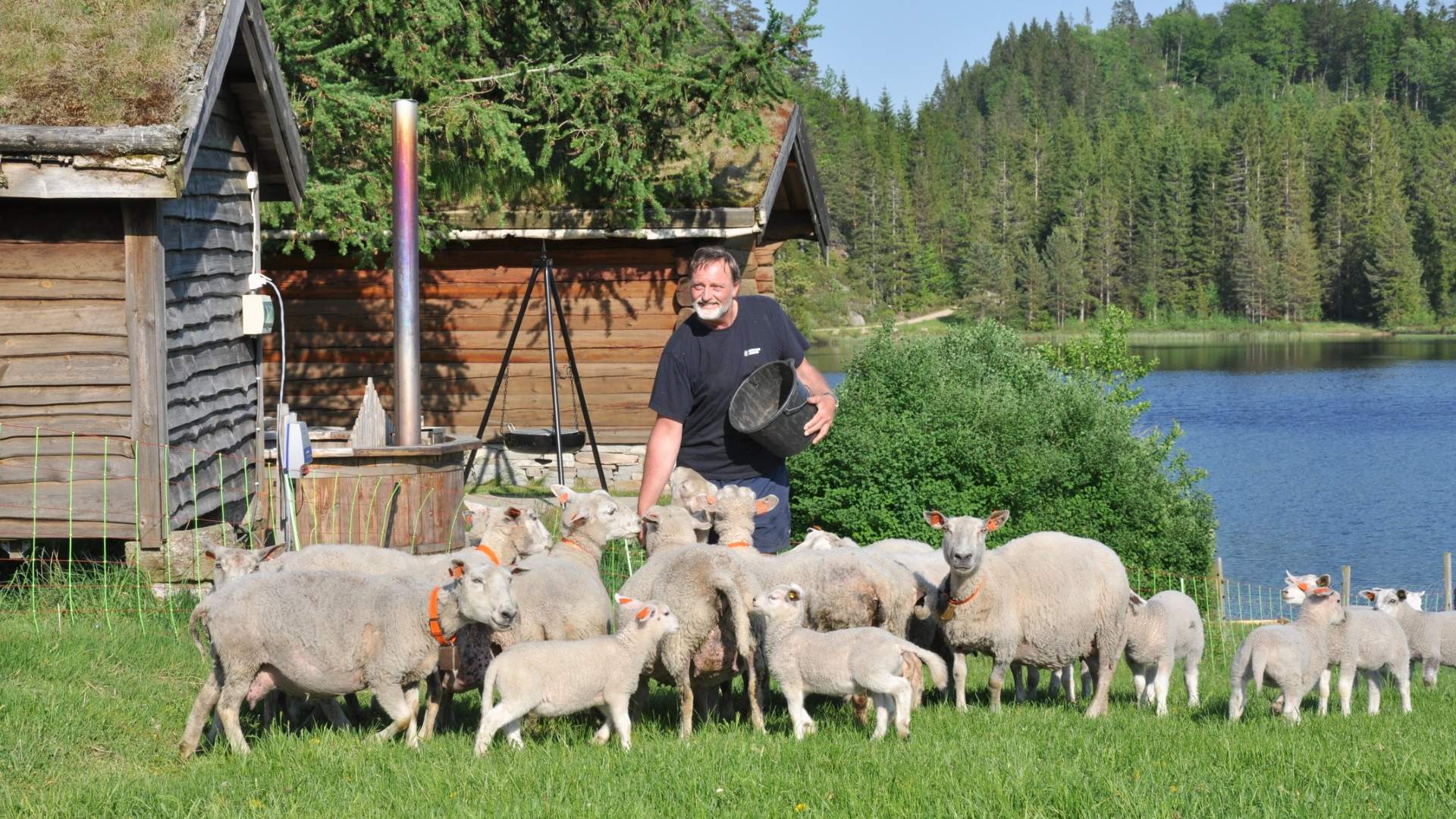 Beisland Gjestegård