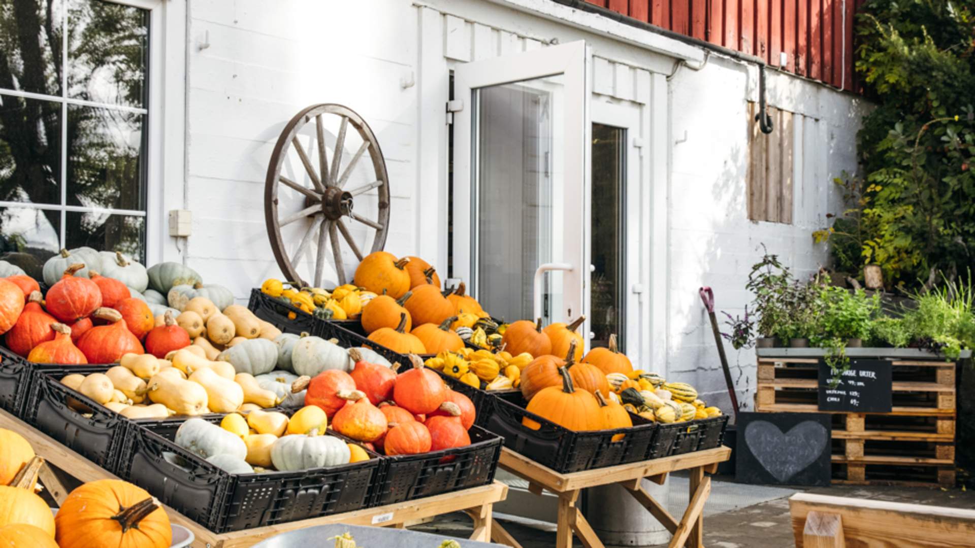 tomtermais-50 Foto Veronica Moen