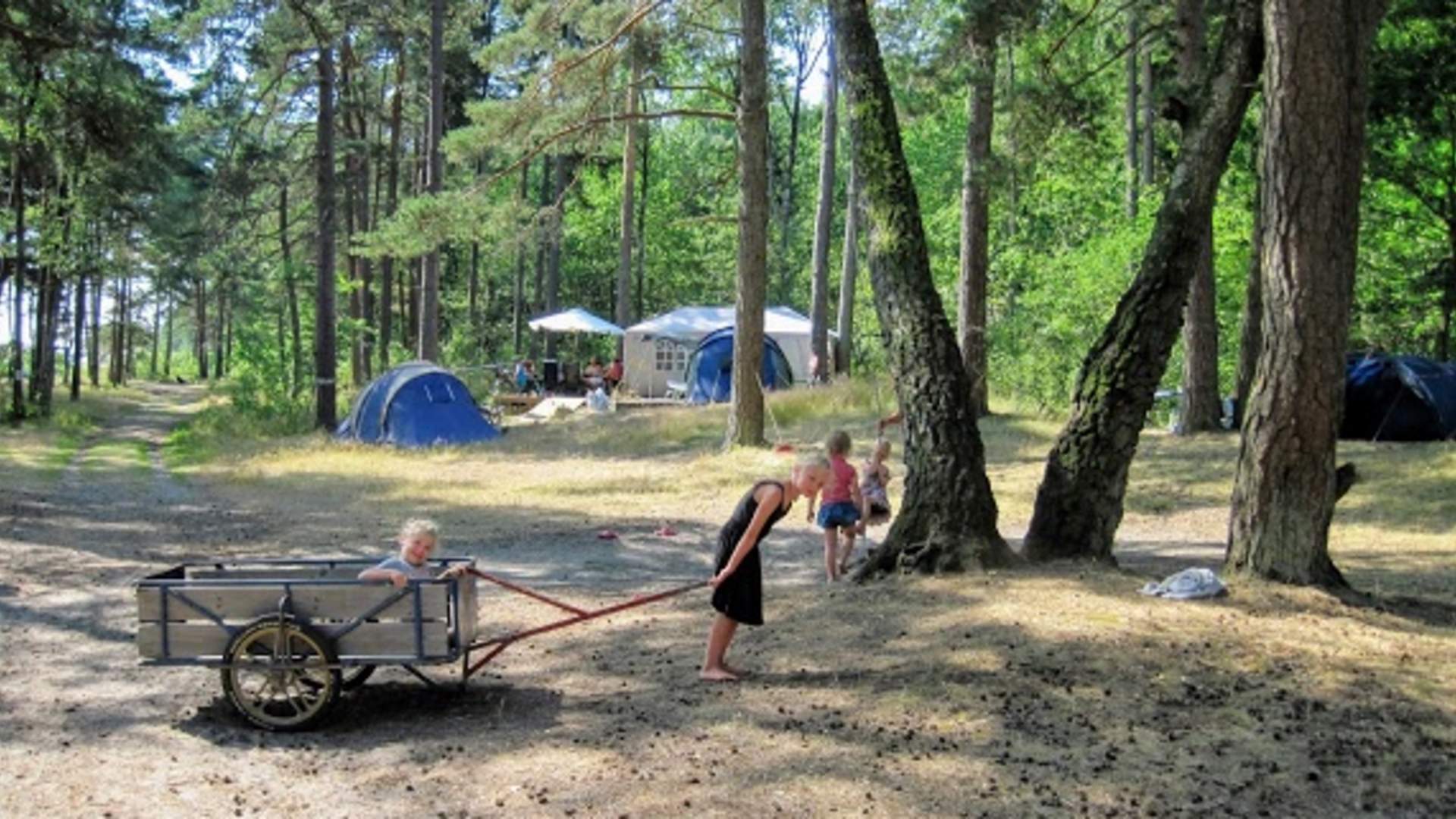 Ula camping