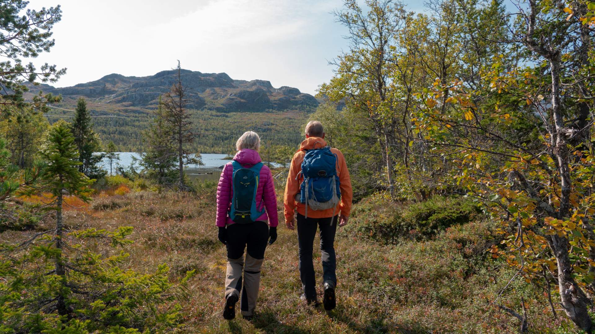 Skipsfjell rundt