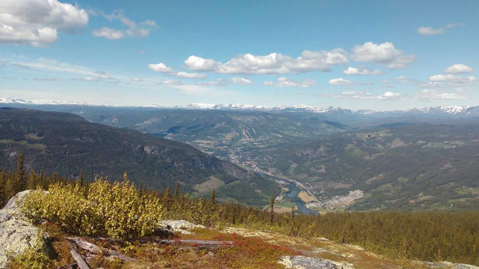 Veikulnatten