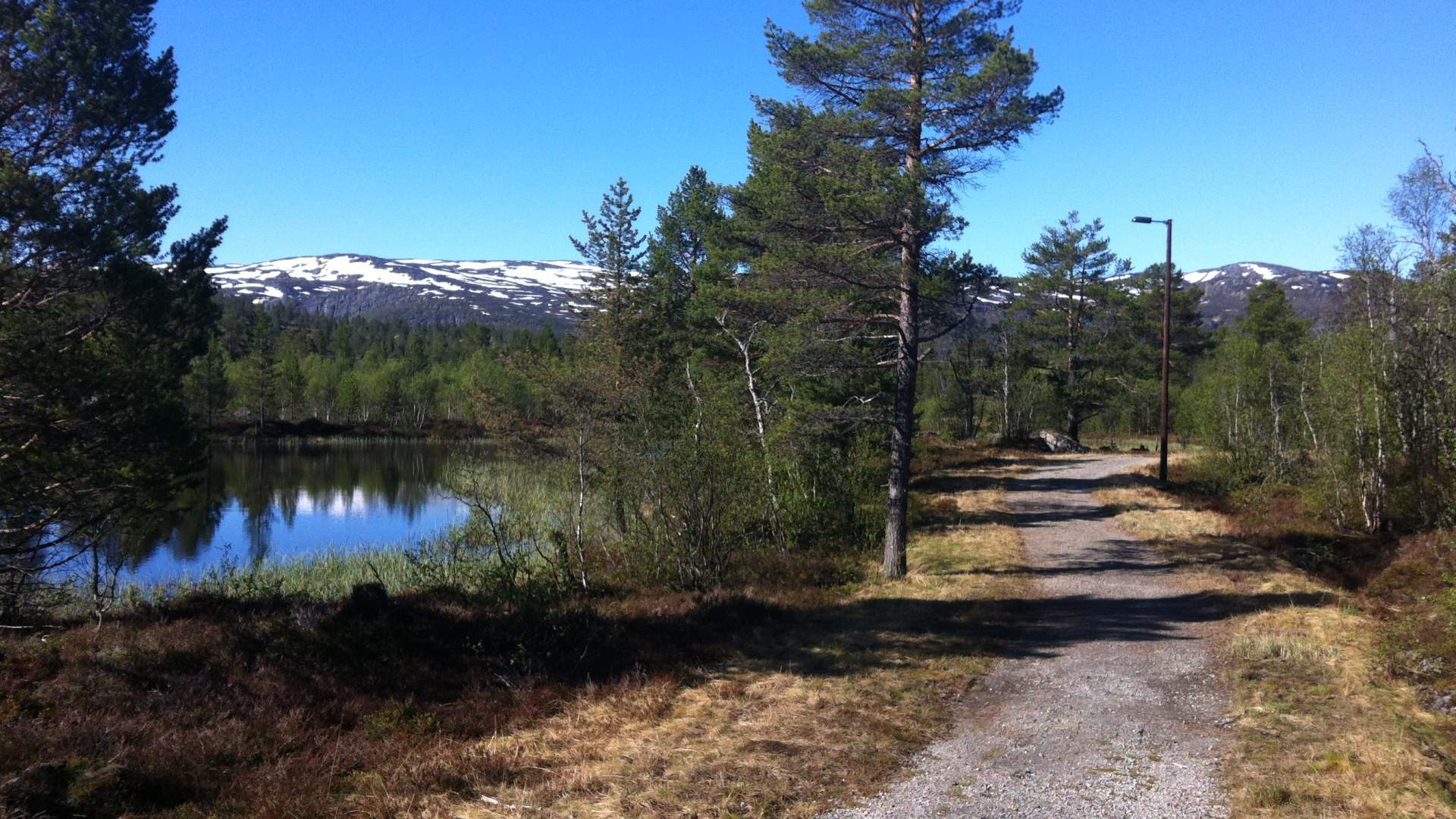 Tilrettelagte grusveier til Hegni
