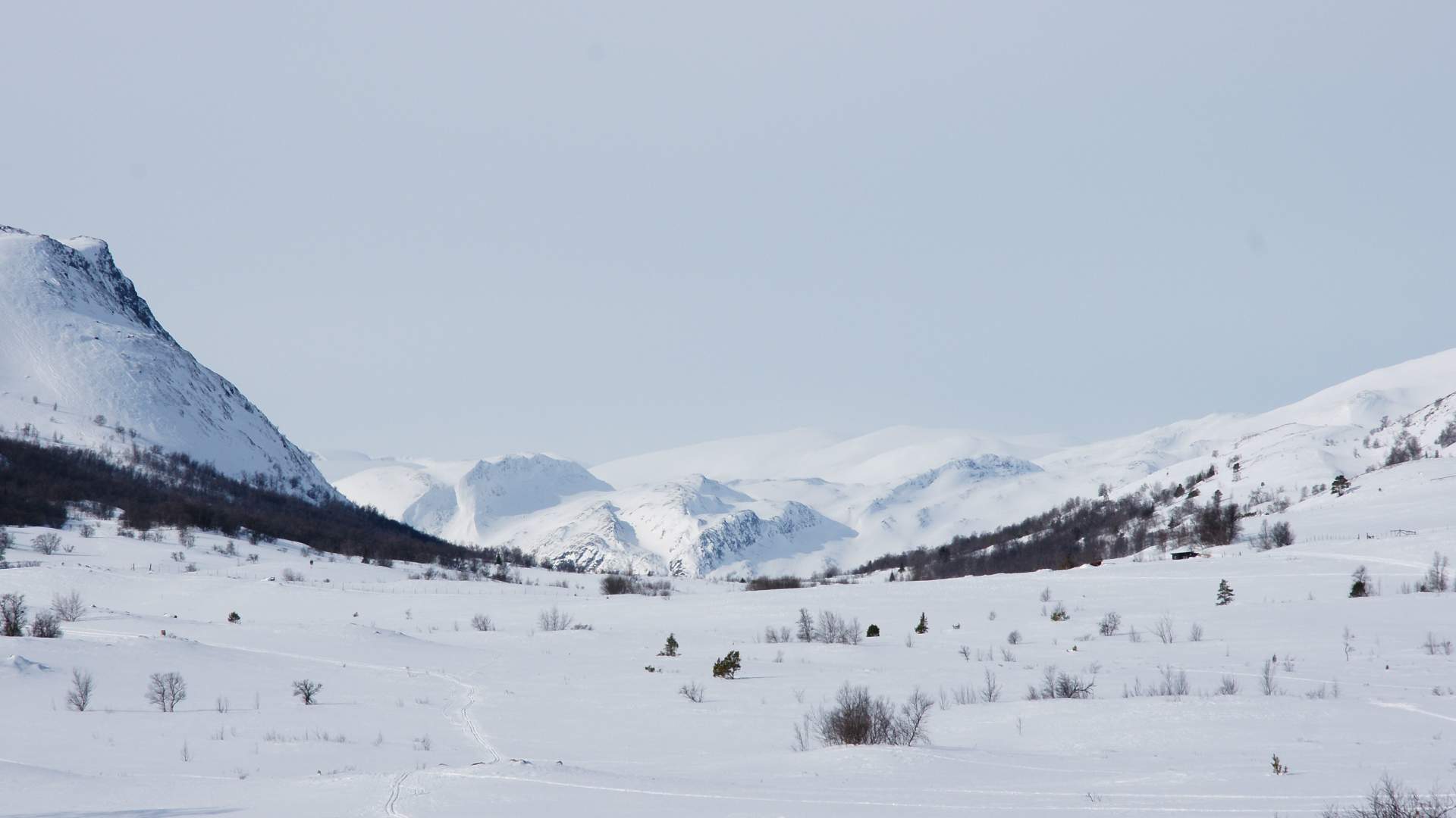 vinter nr 3