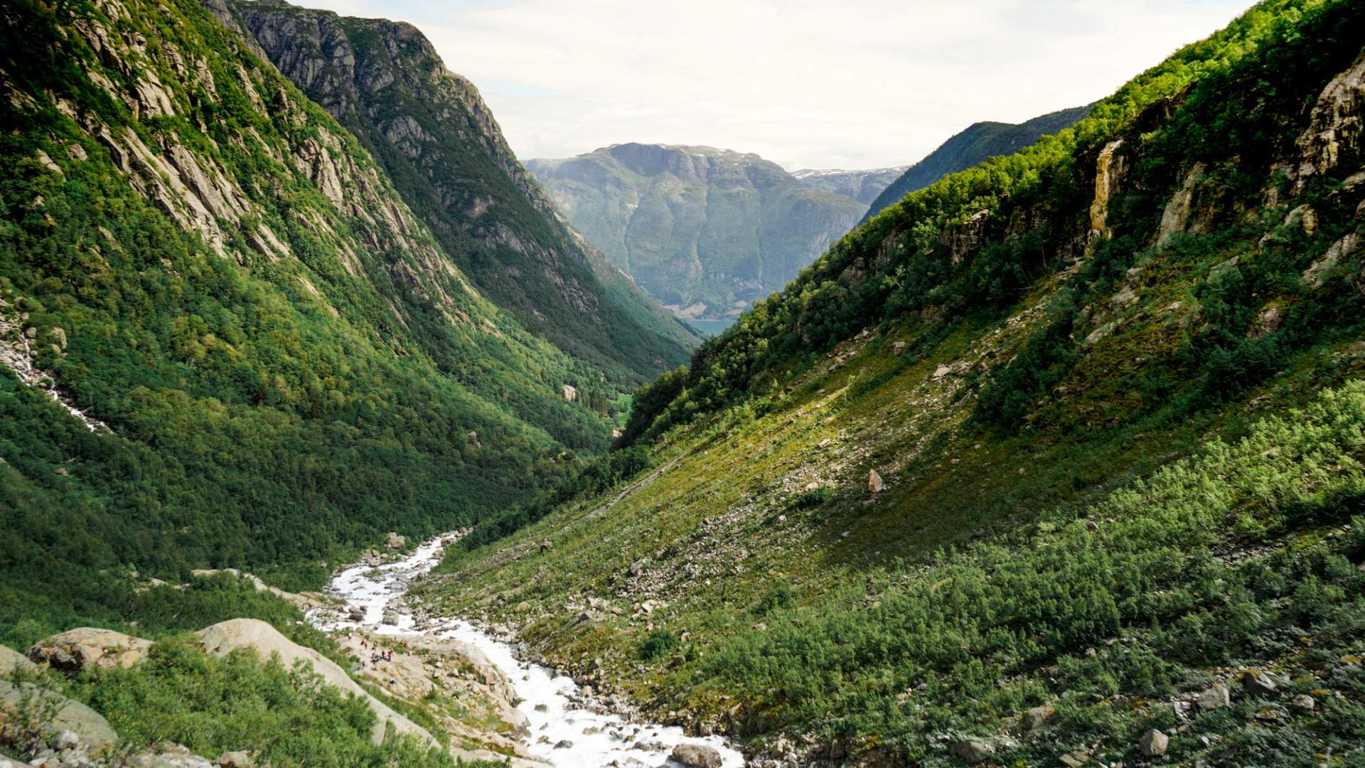 web-buarbreen-dalføre