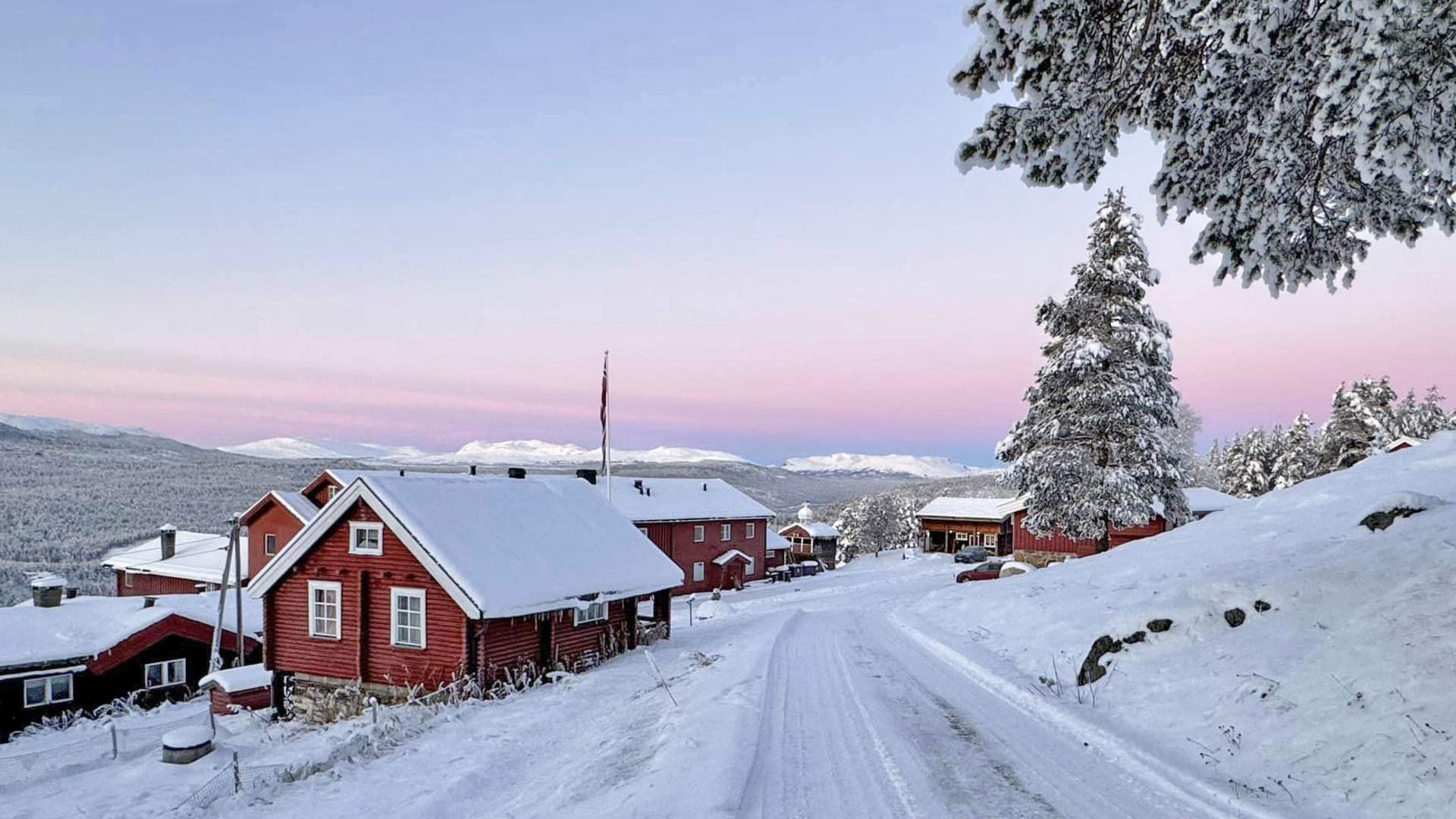 web_402256135_830600762410338_1587515805946194832_n