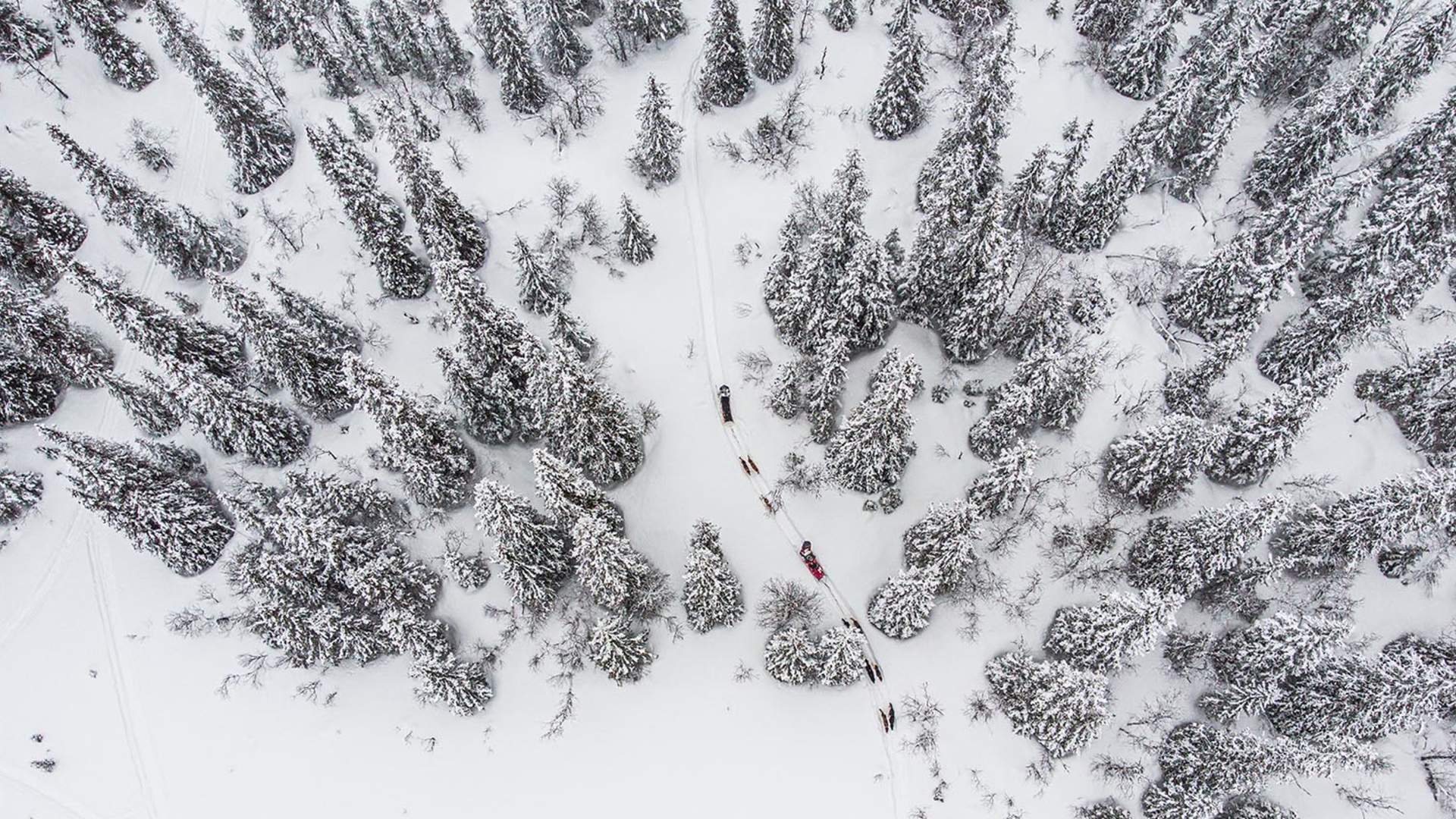 web_Beito Husky Tours_3daytour_@lucaslepage