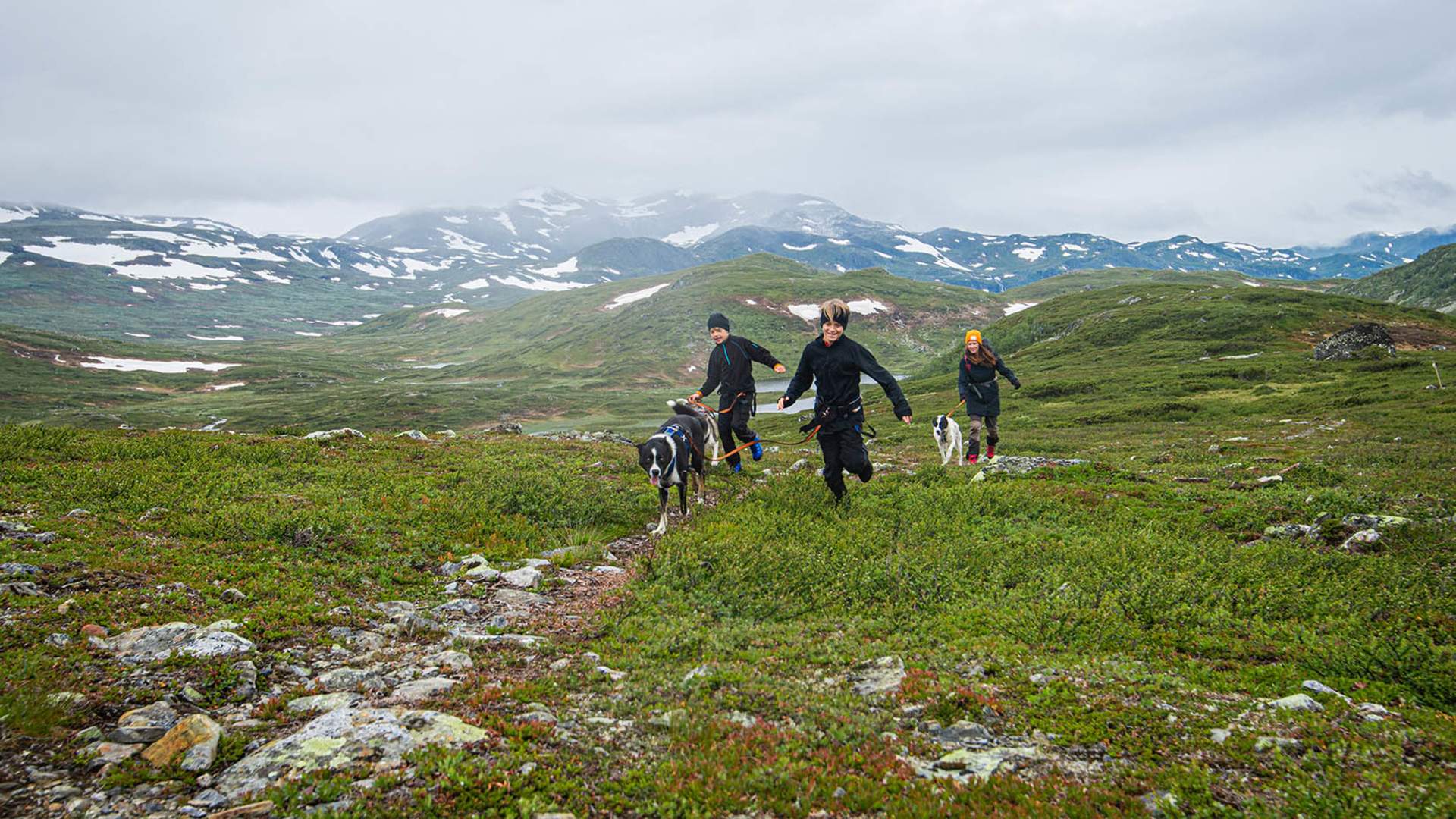 web_Beito Husky Tours_familyHike_@lucaslepage