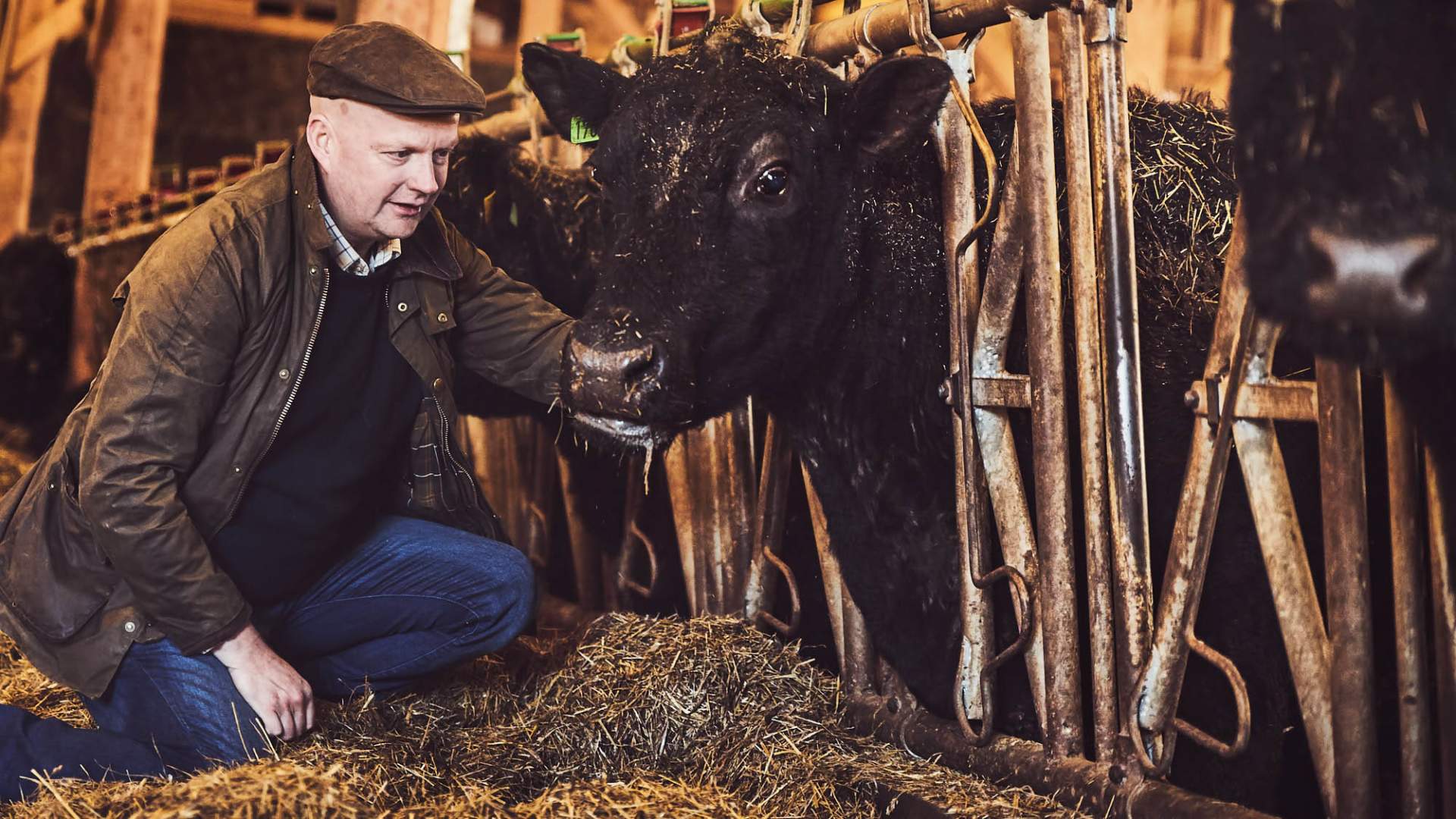 web_Piltingsrud fjøset_liten_Cathrine Dokken