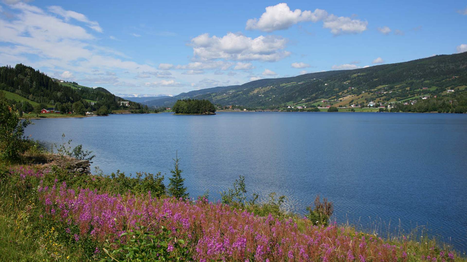 web_fra ulnes til leira-strondefjord_Susana