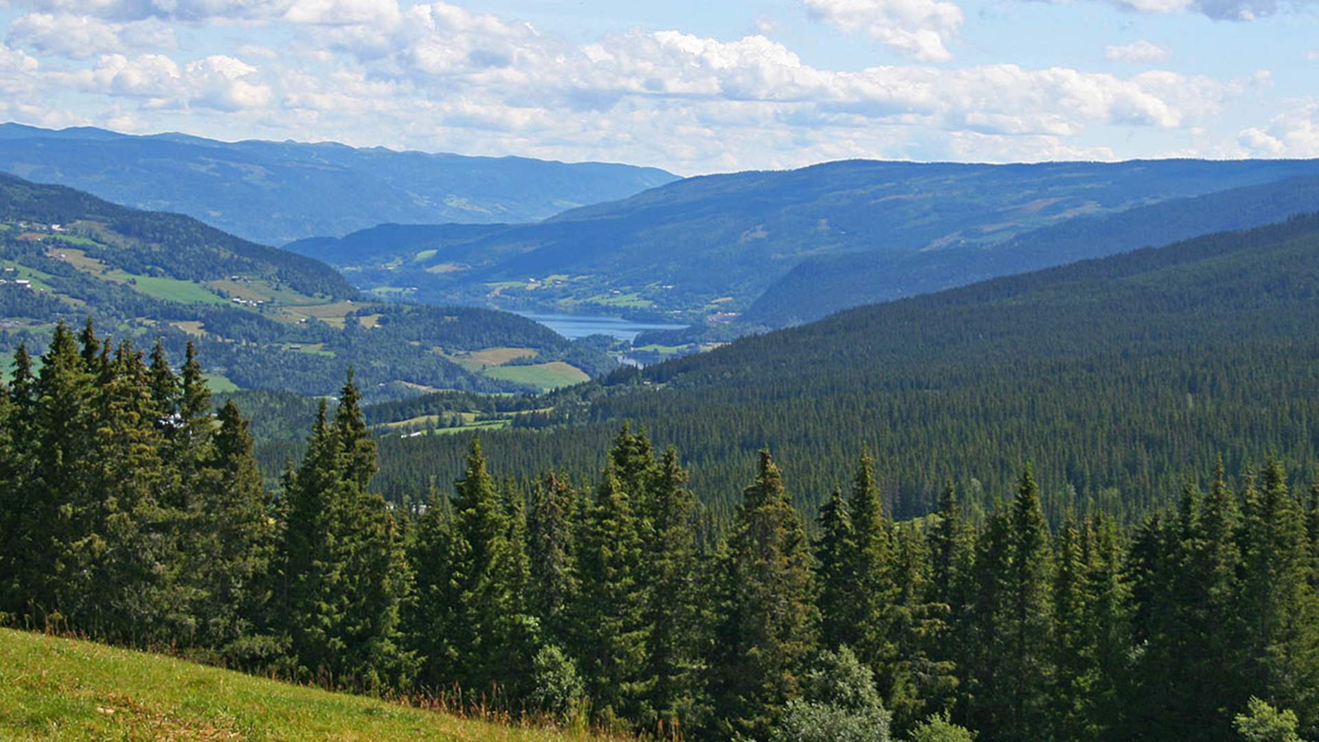 web_ustiktnet mot ulnes_Susana