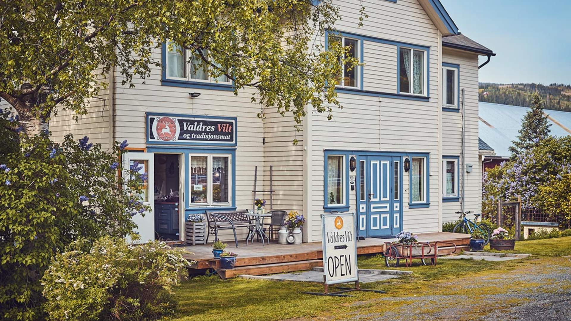 web_valdresvilt__MG_6900