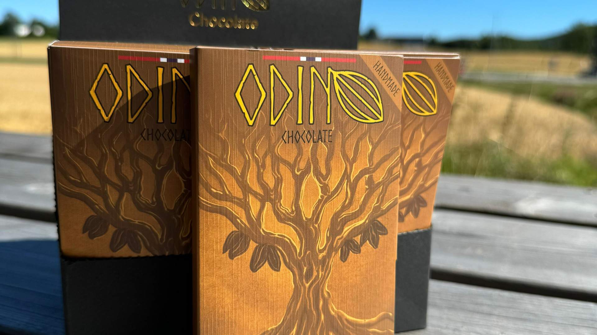 yggdrasil bilde utside