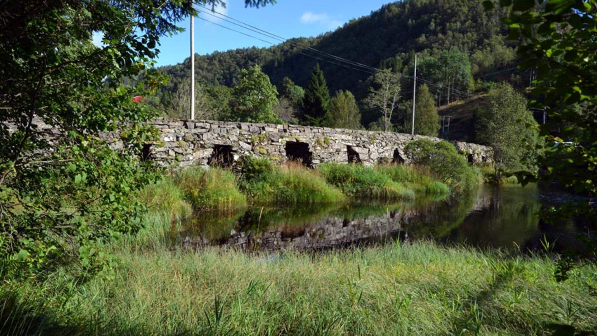 Den Trondhjemske Postveg