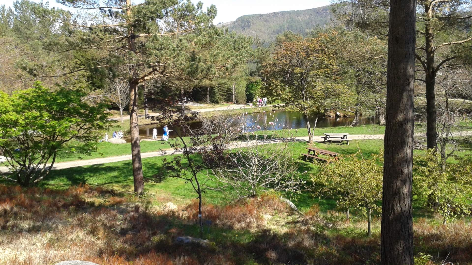 Cycle tour - Green route - Melsheiruta