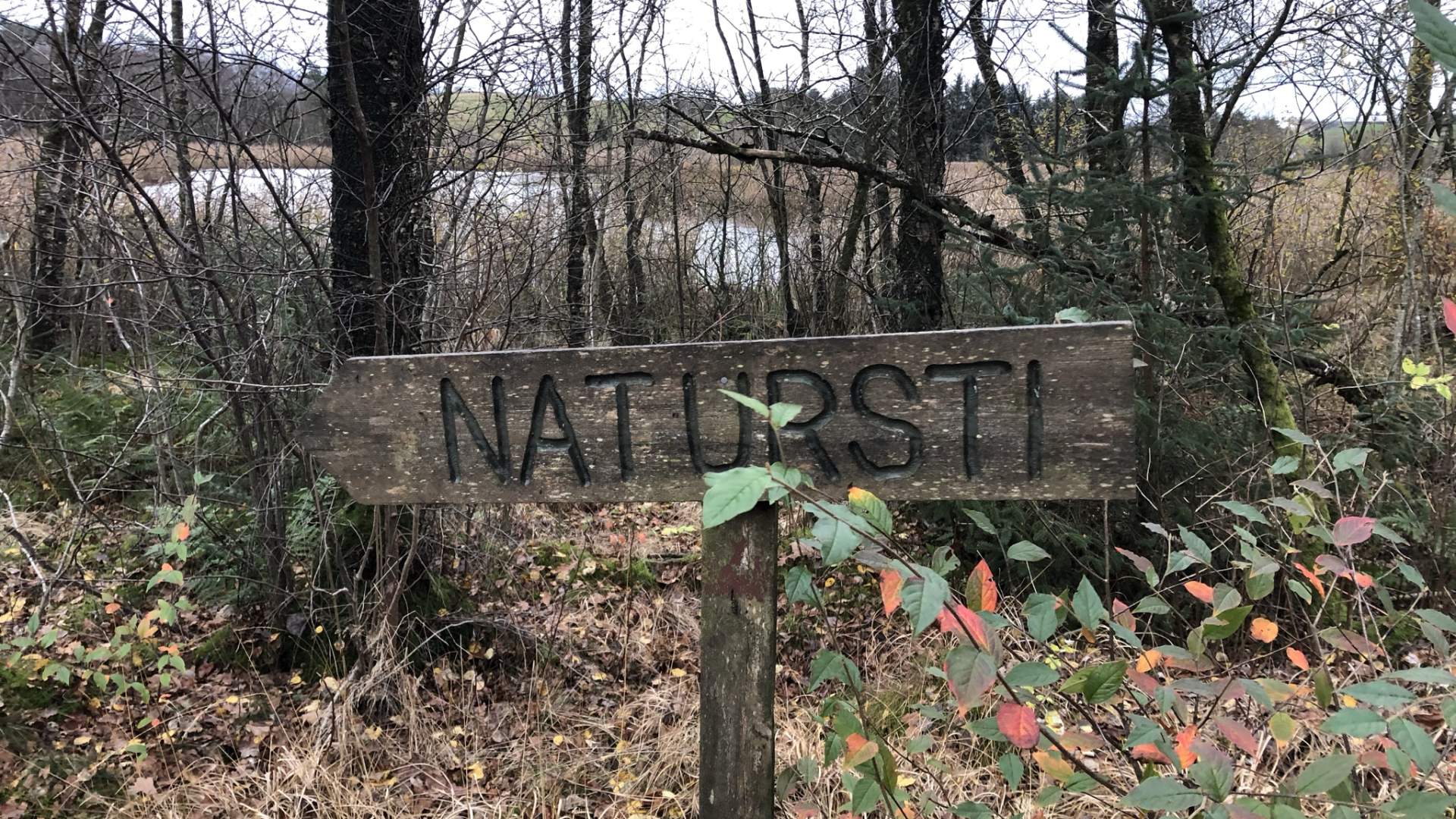 Lonavannet og Øksnevadtjern naturreservat