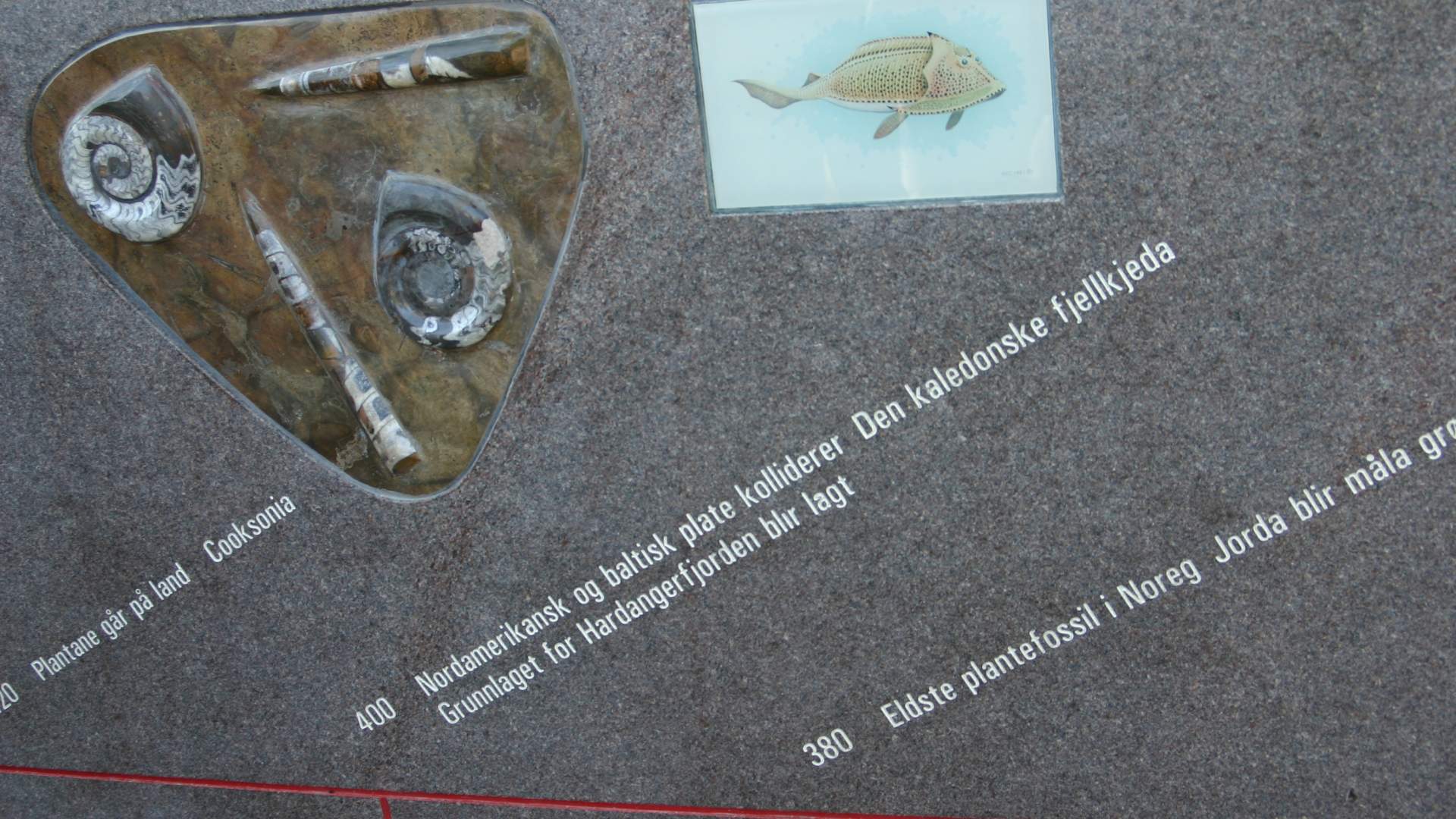 Steinparken i Rosendal