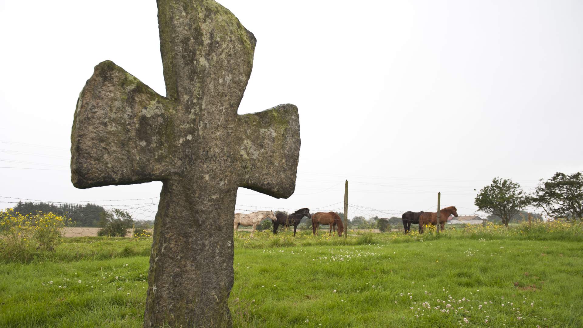 Die Steinkreuze von Tjora