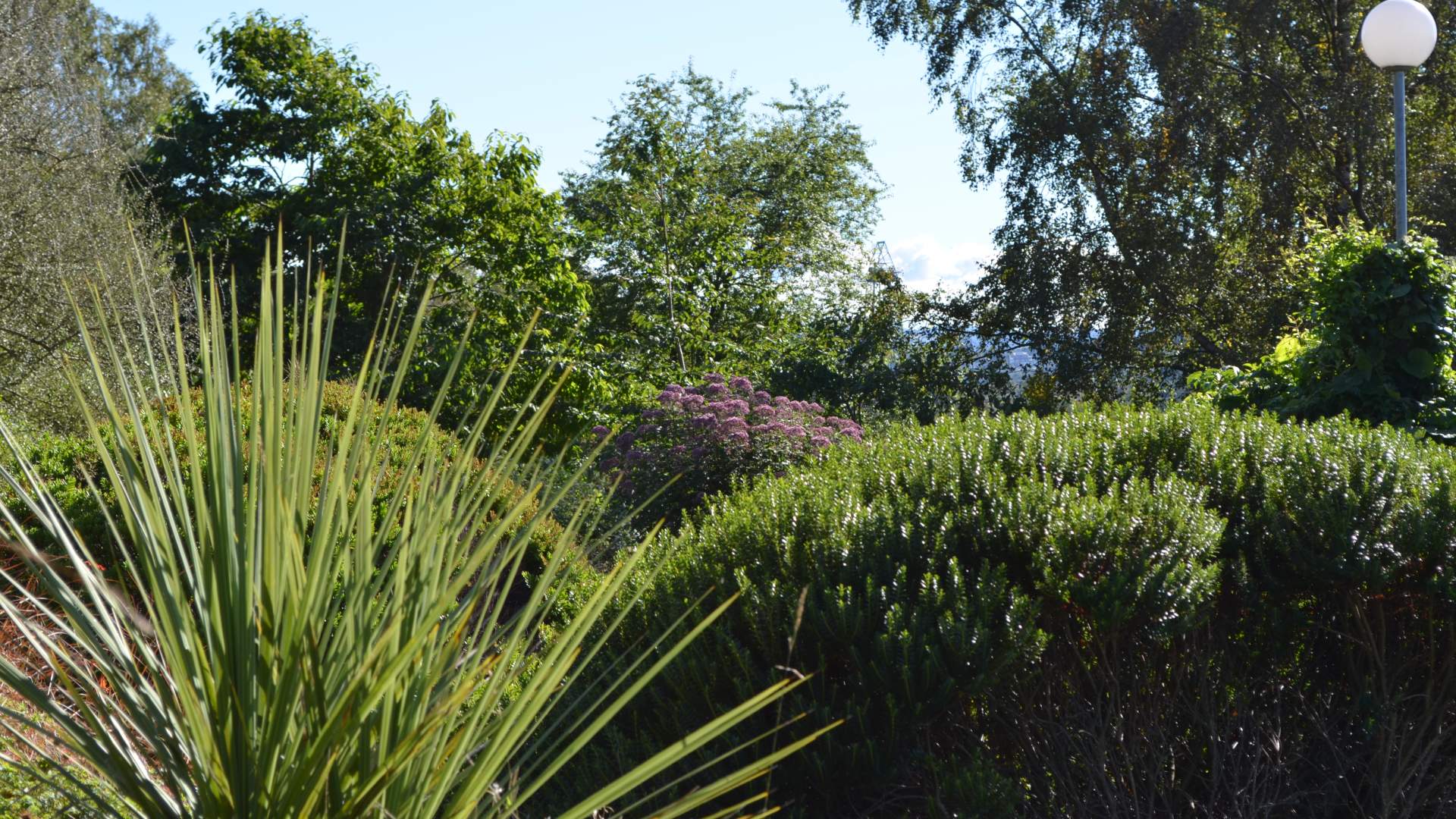 Stavanger Botanic Garden