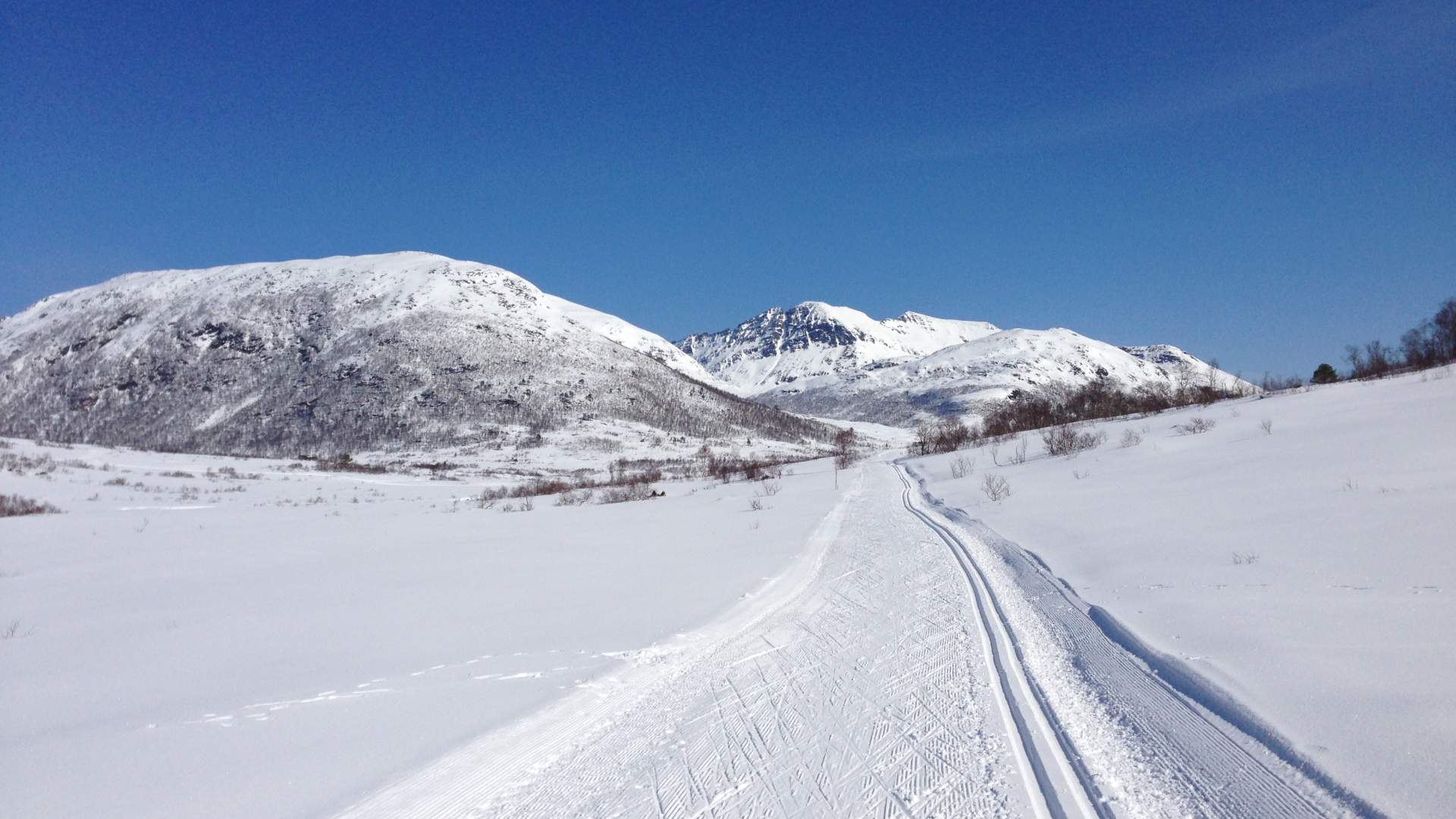 Skaret Skisenter - langrenn