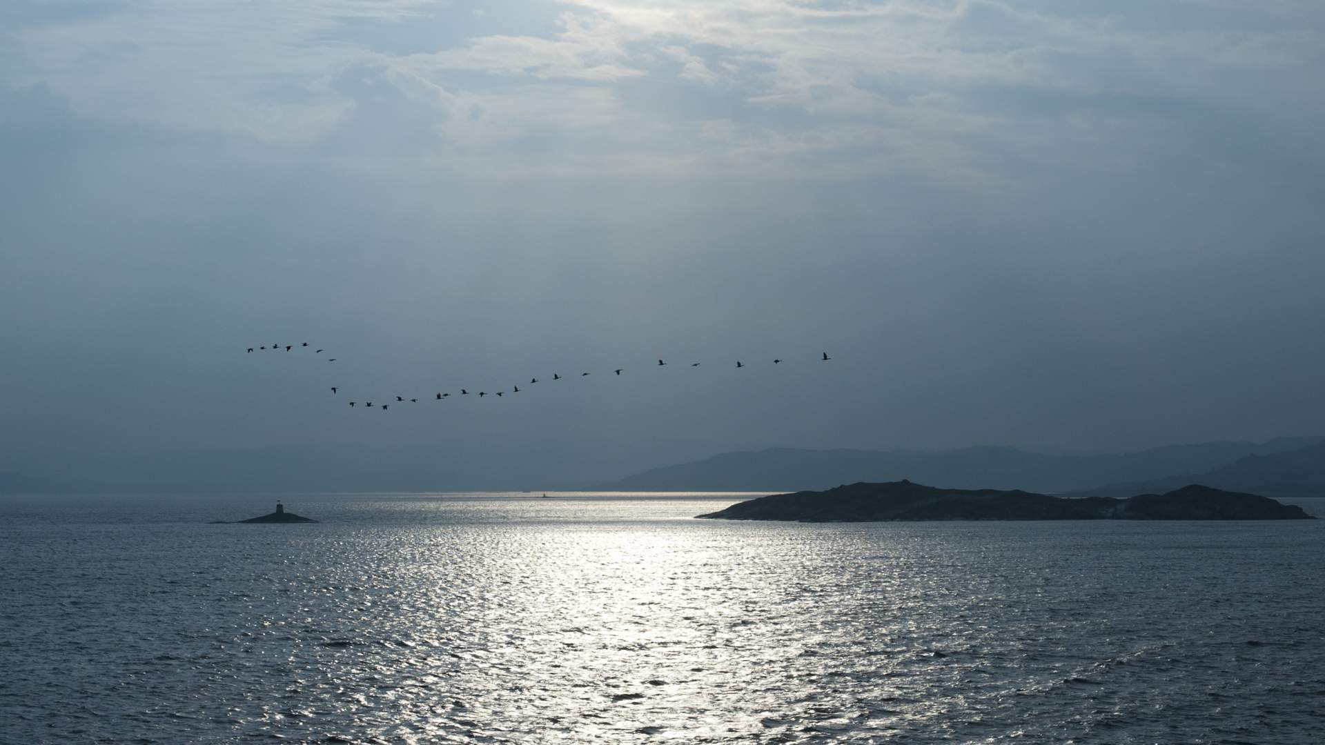 Vogelbeobachtung Utsira