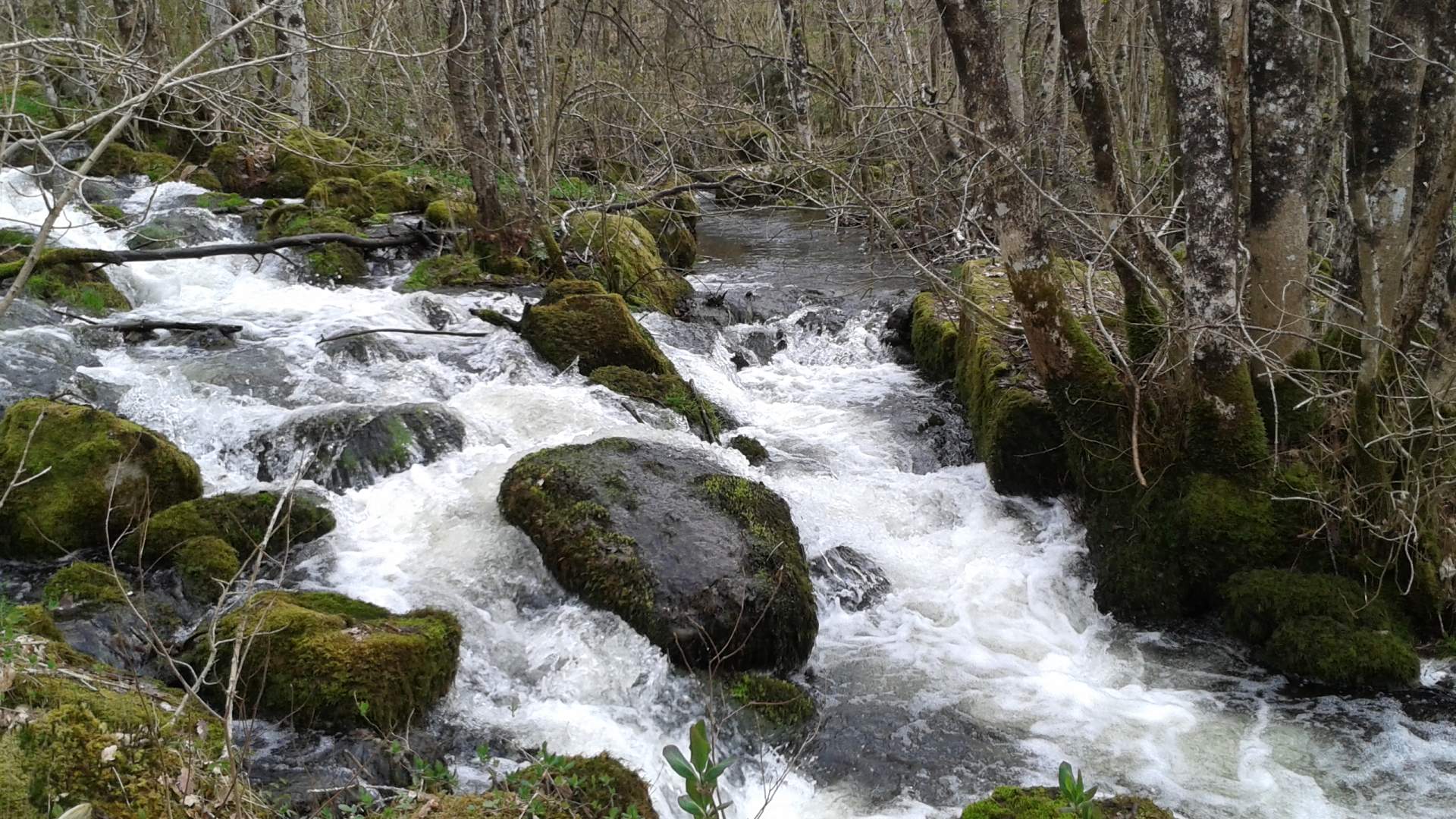 Grüne Route - Hommersåkruta