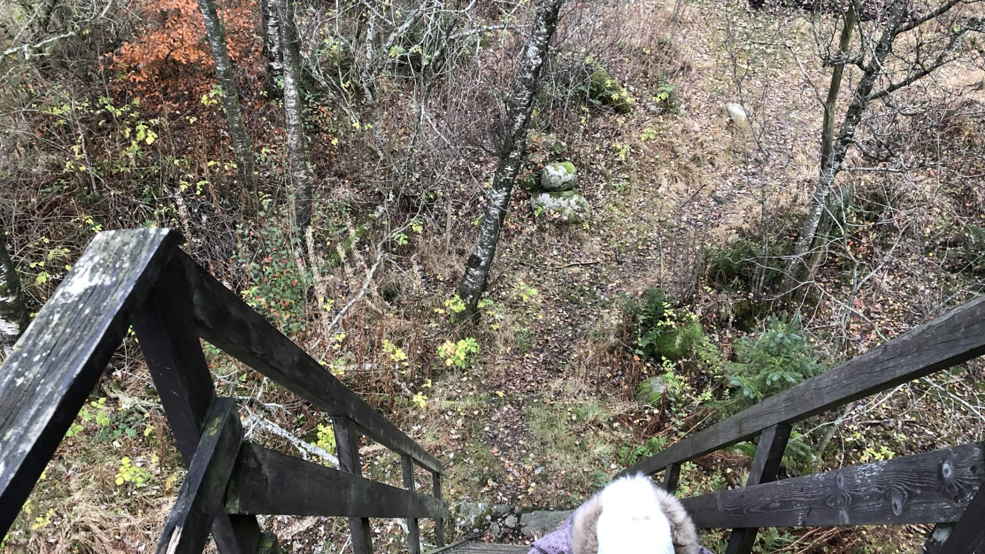 Lonavannet og Øksnevadtjern naturreservat