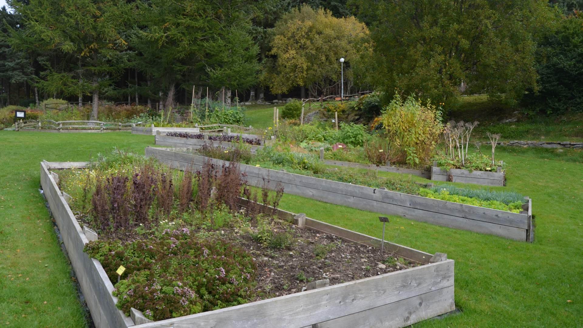 Stavanger Botanic Garden