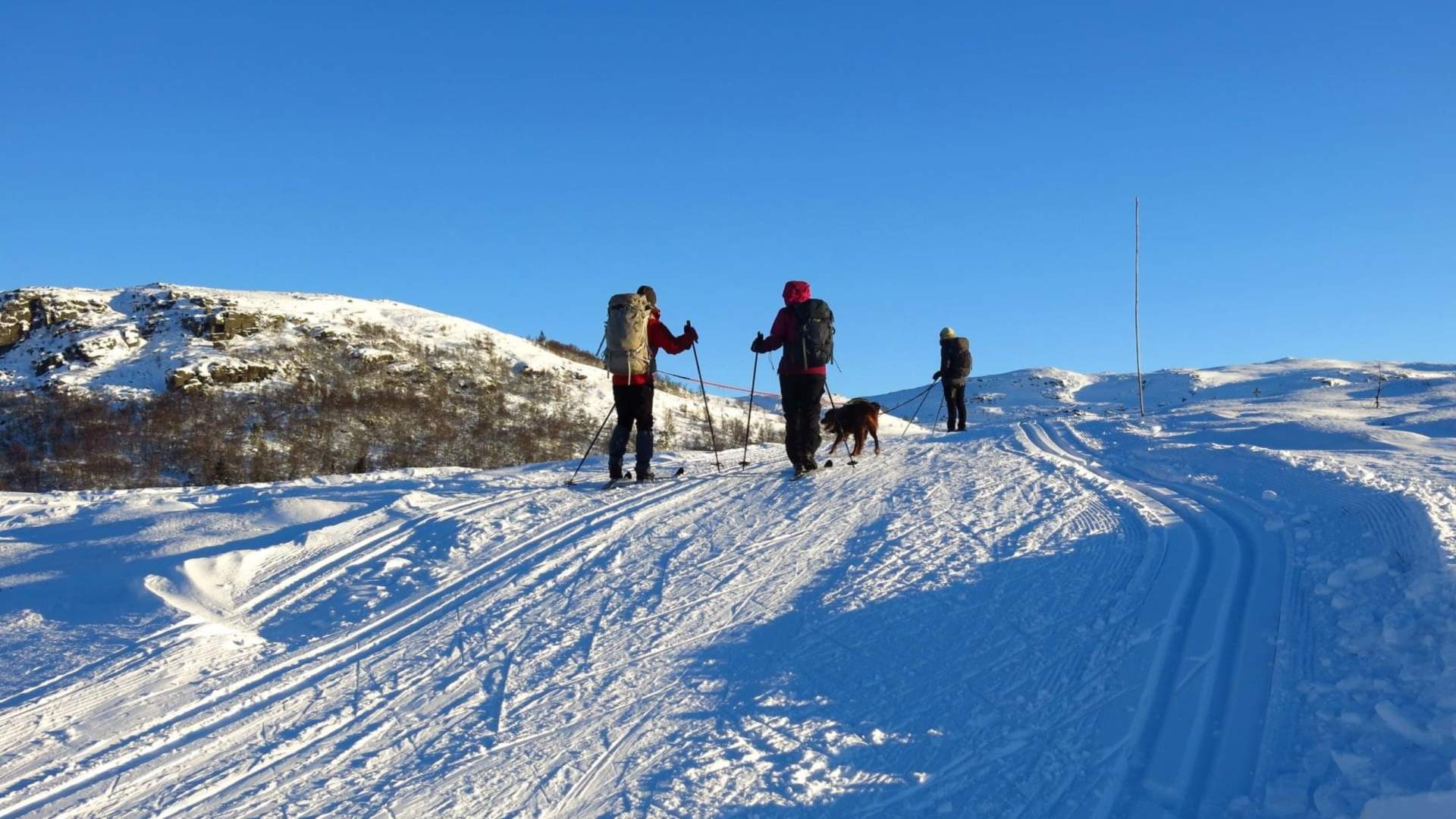 Olalia Fjellstove - Haugesund Turistforening