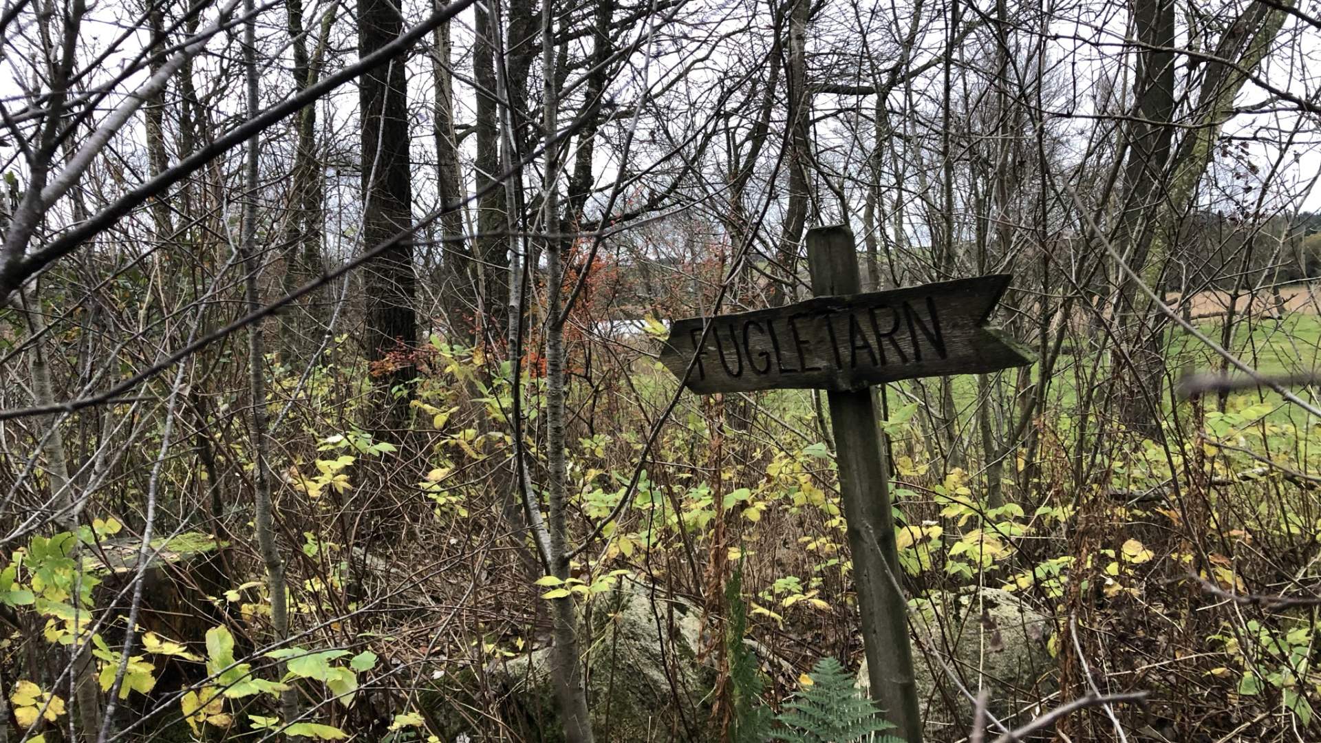 Lonavannet og Øksnevadtjern naturreservat