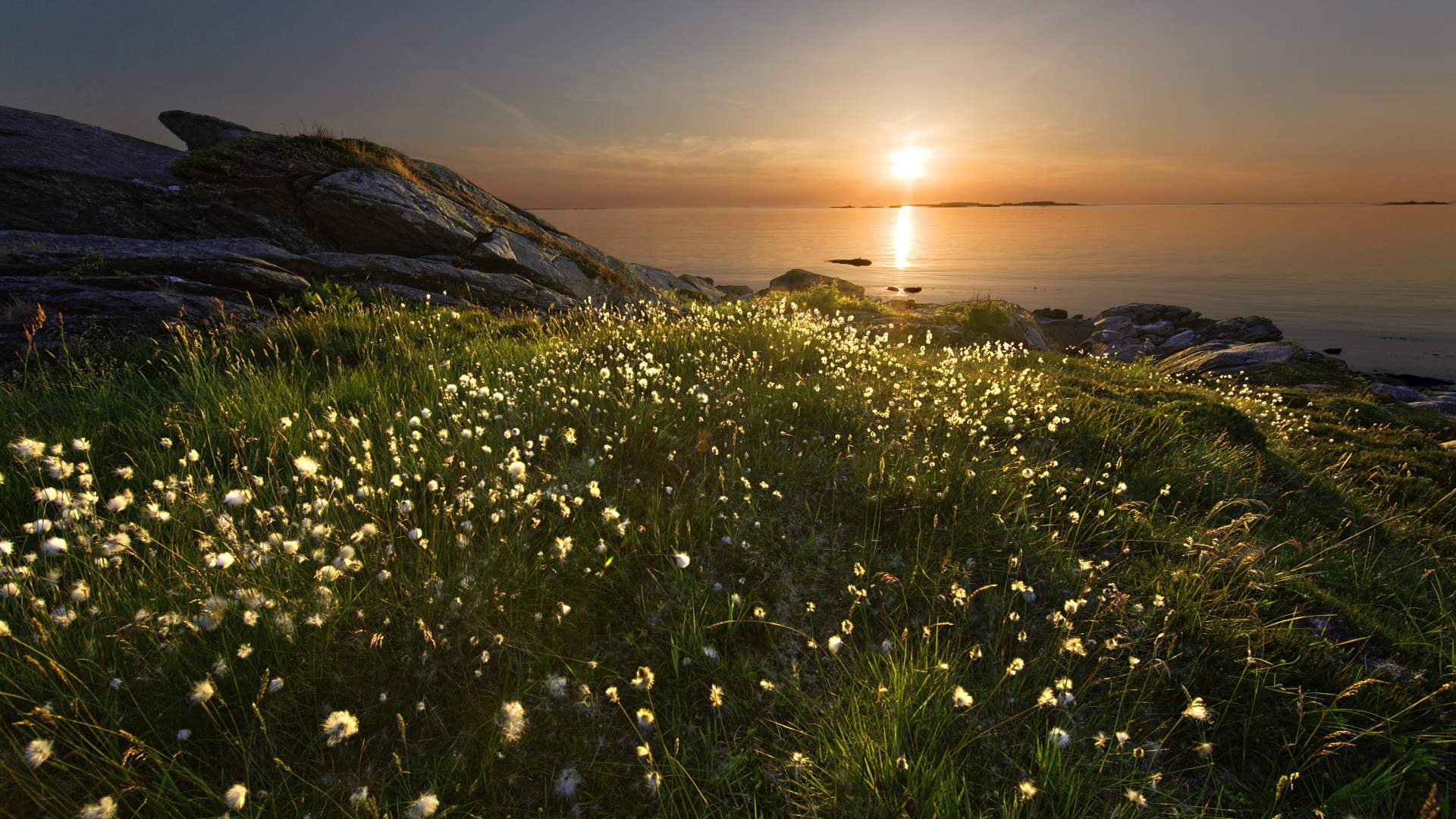 North Sea Cycle Route