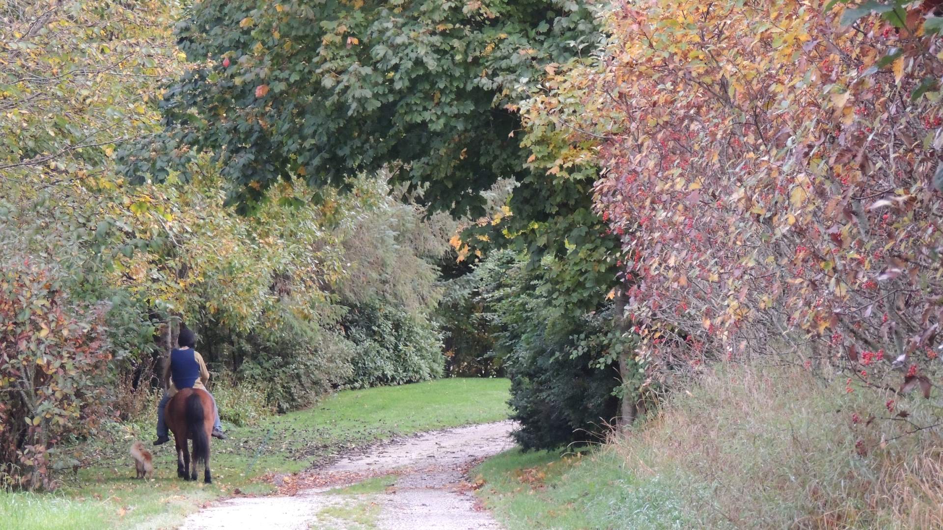 Die alte Hauptstraße Westnorwegens