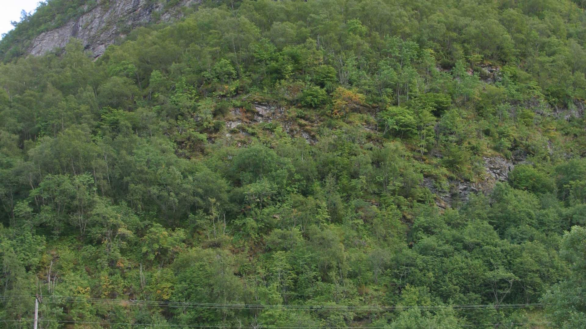 Sunndal Golfklubb