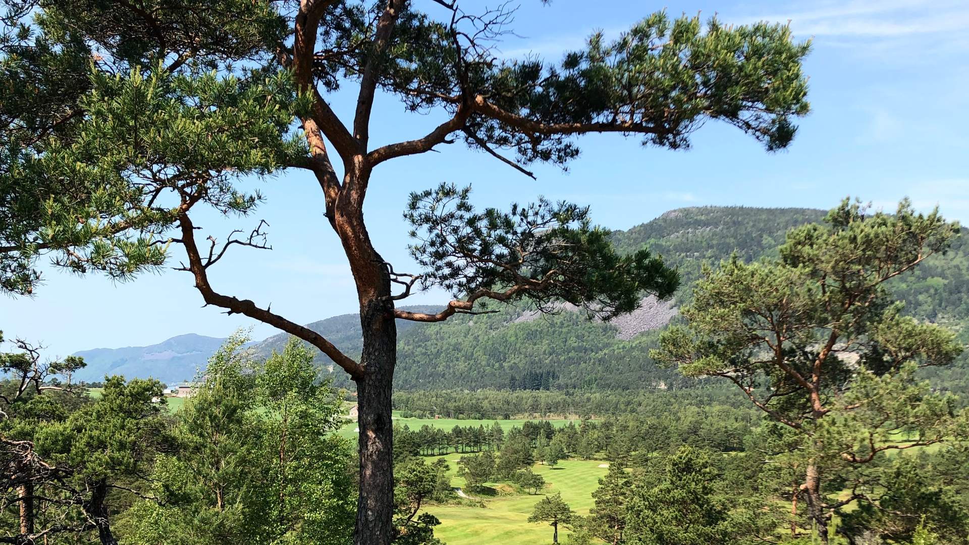 Preikestolen Golfklubb på Jørpeland