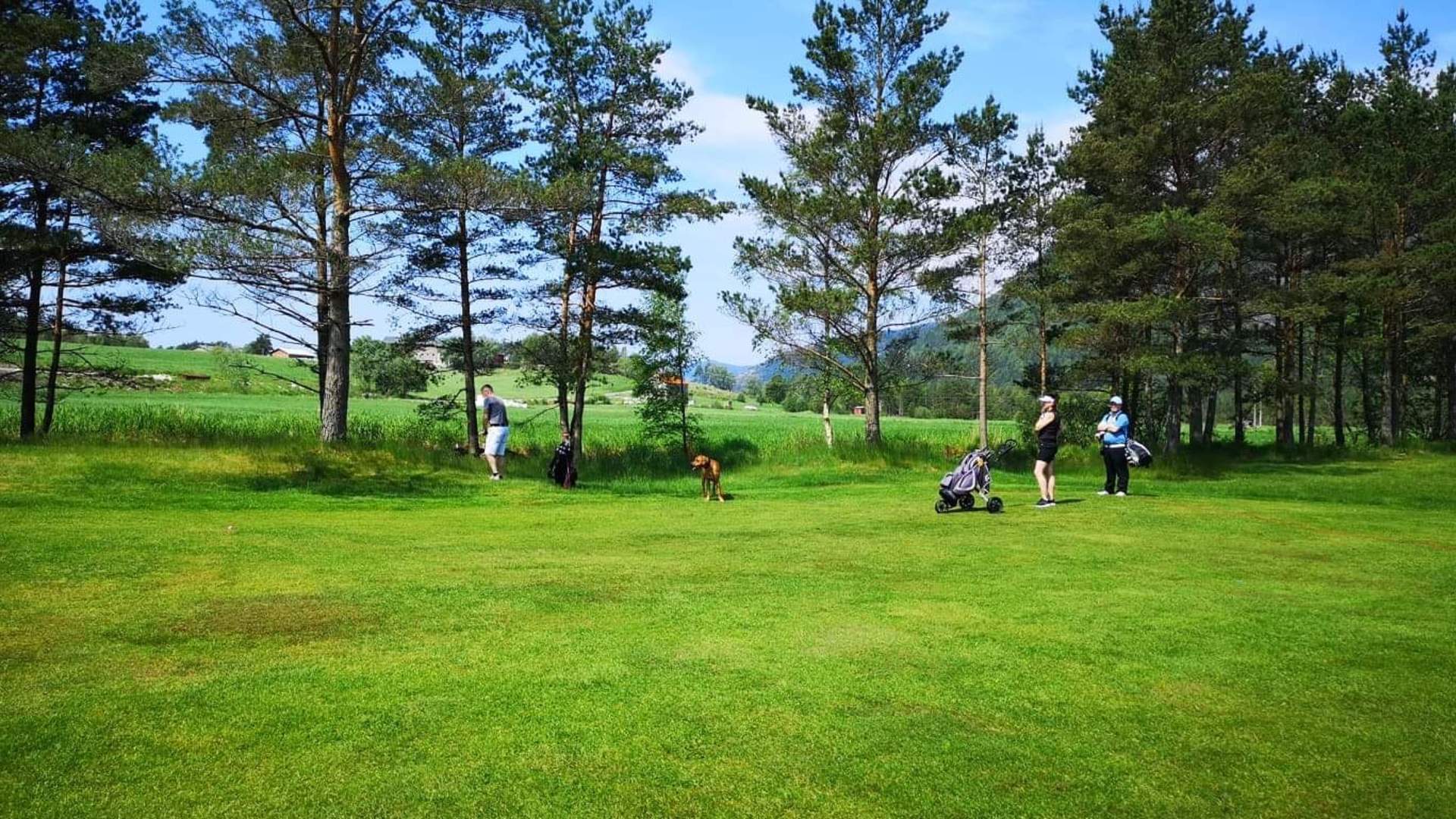 Preikestolen Golfklubb på Jørpeland