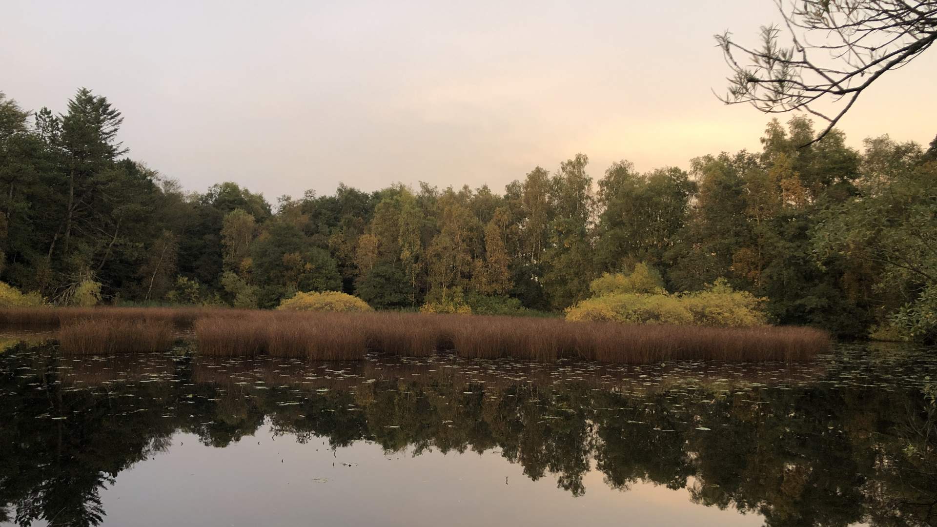 Mosvatnet/Vålandskogen