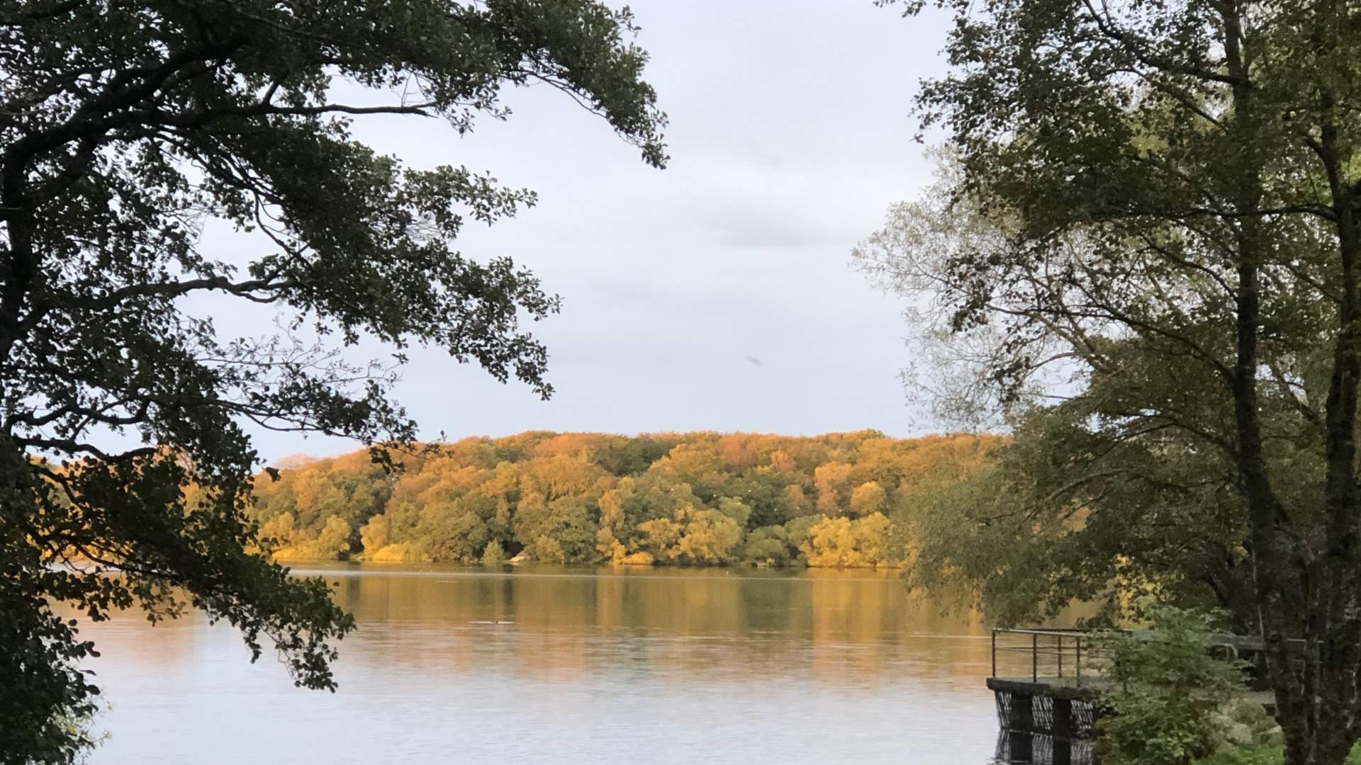 Mosvatnet/Vålandskogen