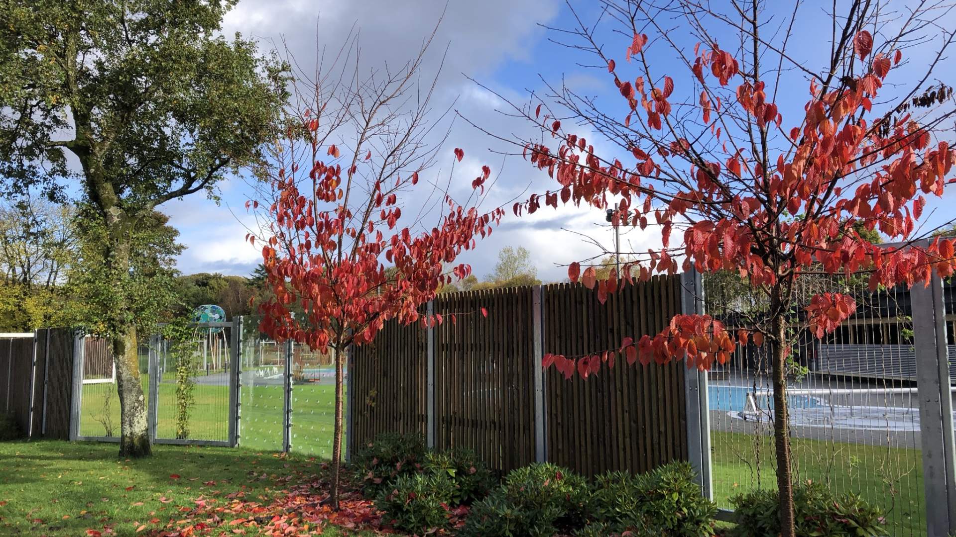 Mosvatnet/Vålandskogen