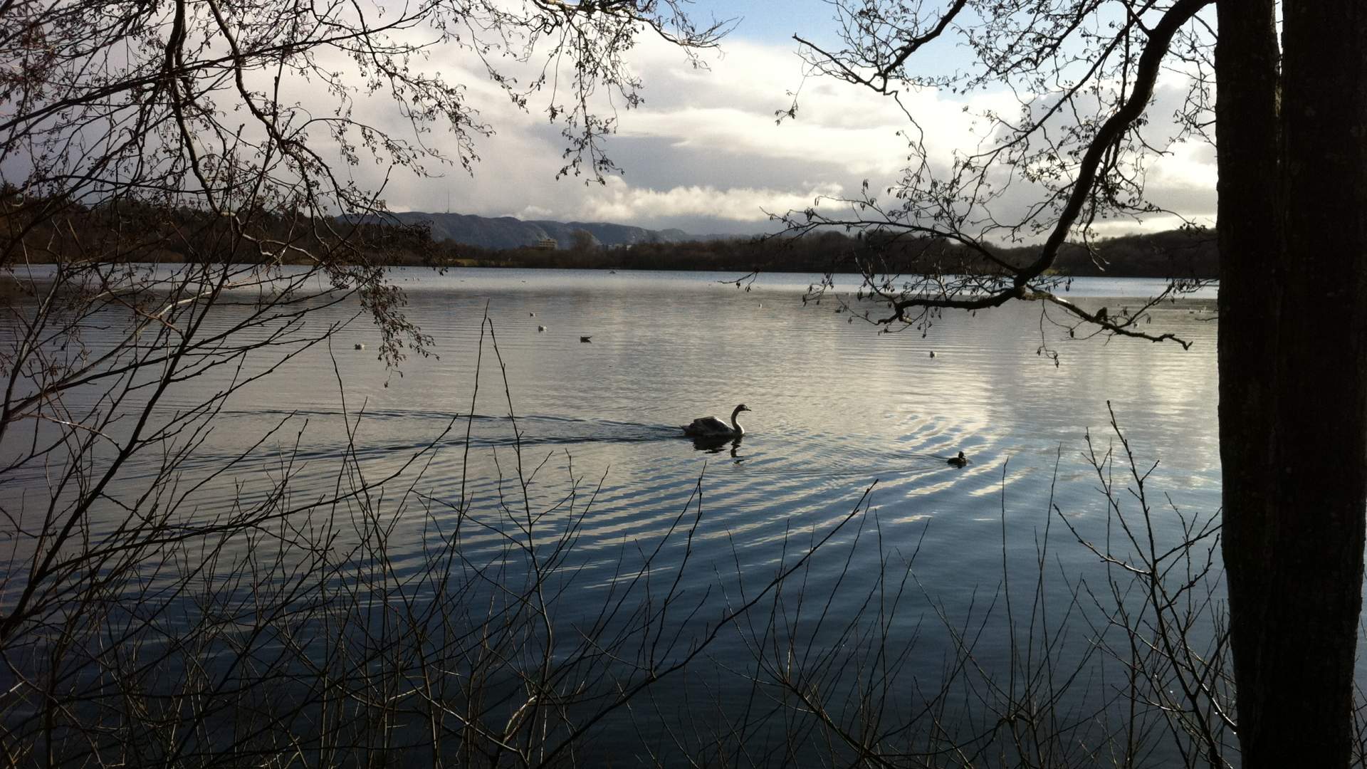 Mosvatnet/Vålandskogen