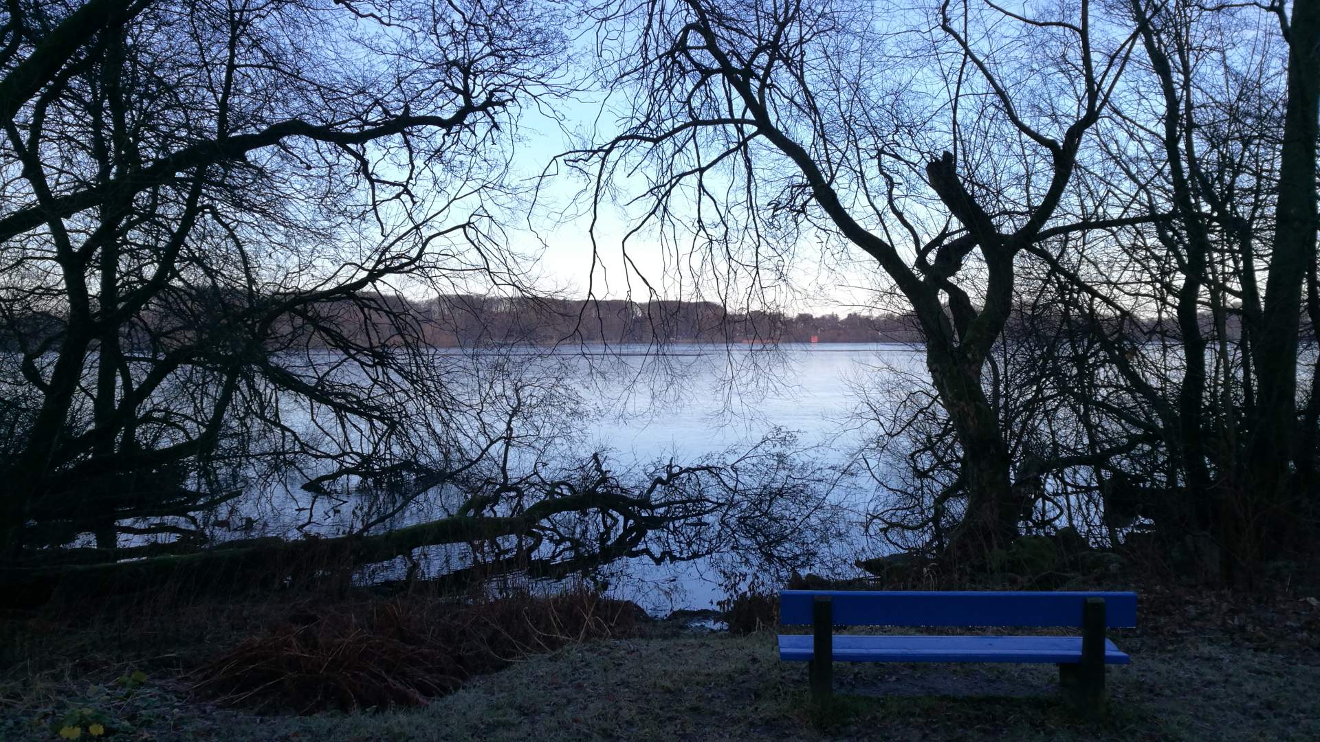 Mosvatnet/Vålandskogen