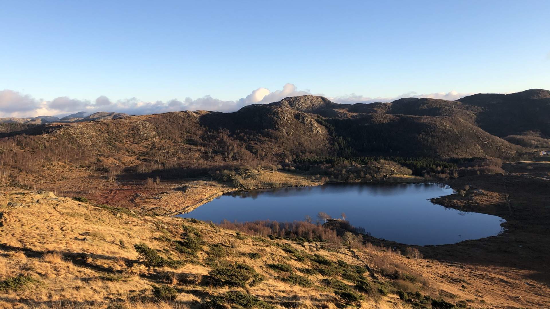 Fjelltur til Dalsnuten