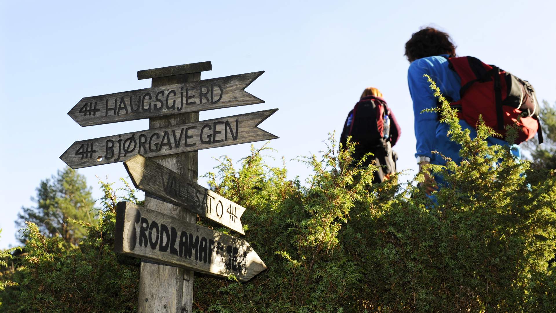 Trollavassnipen, Sveio