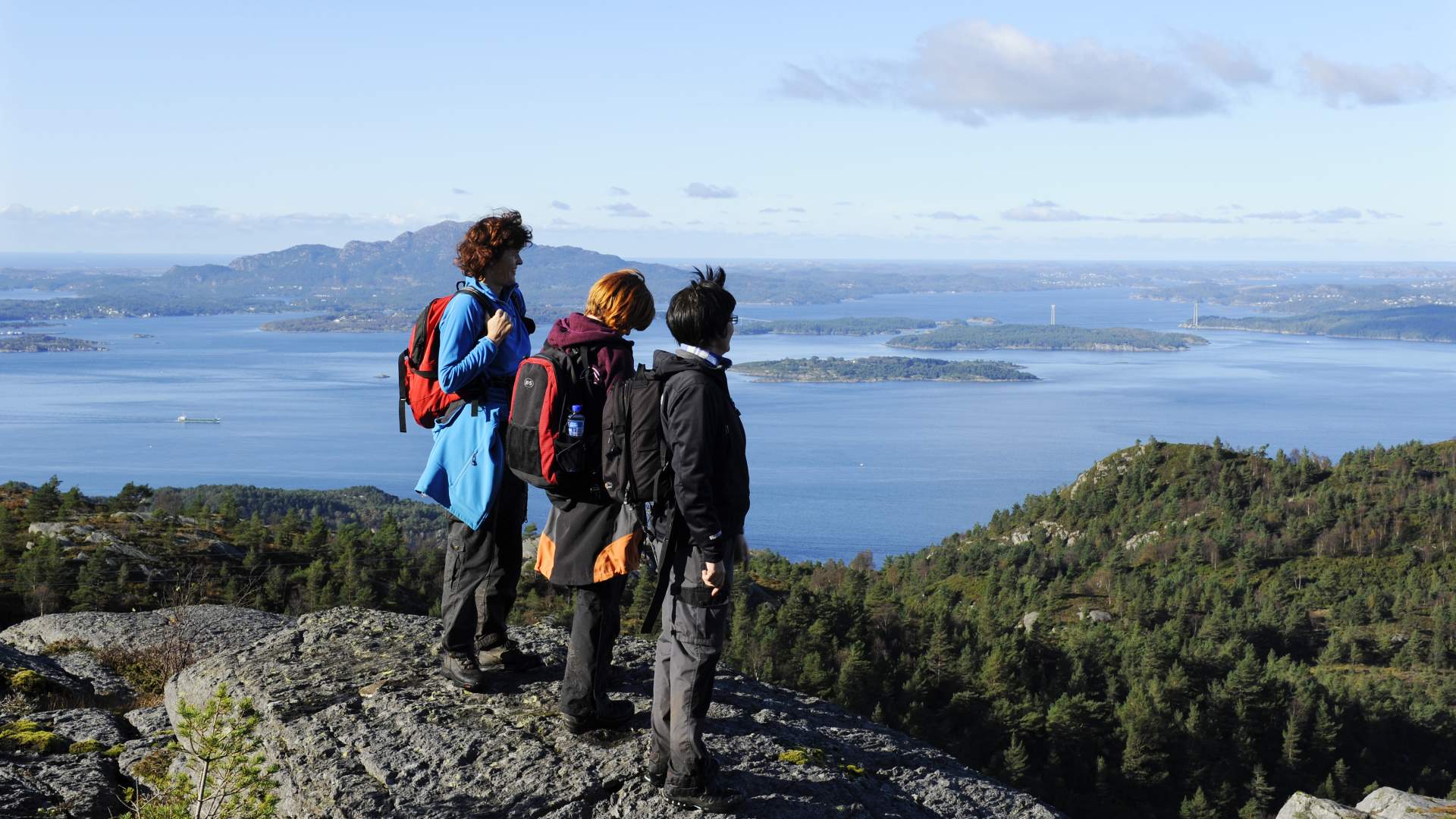 Trollavassnipen, Sveio