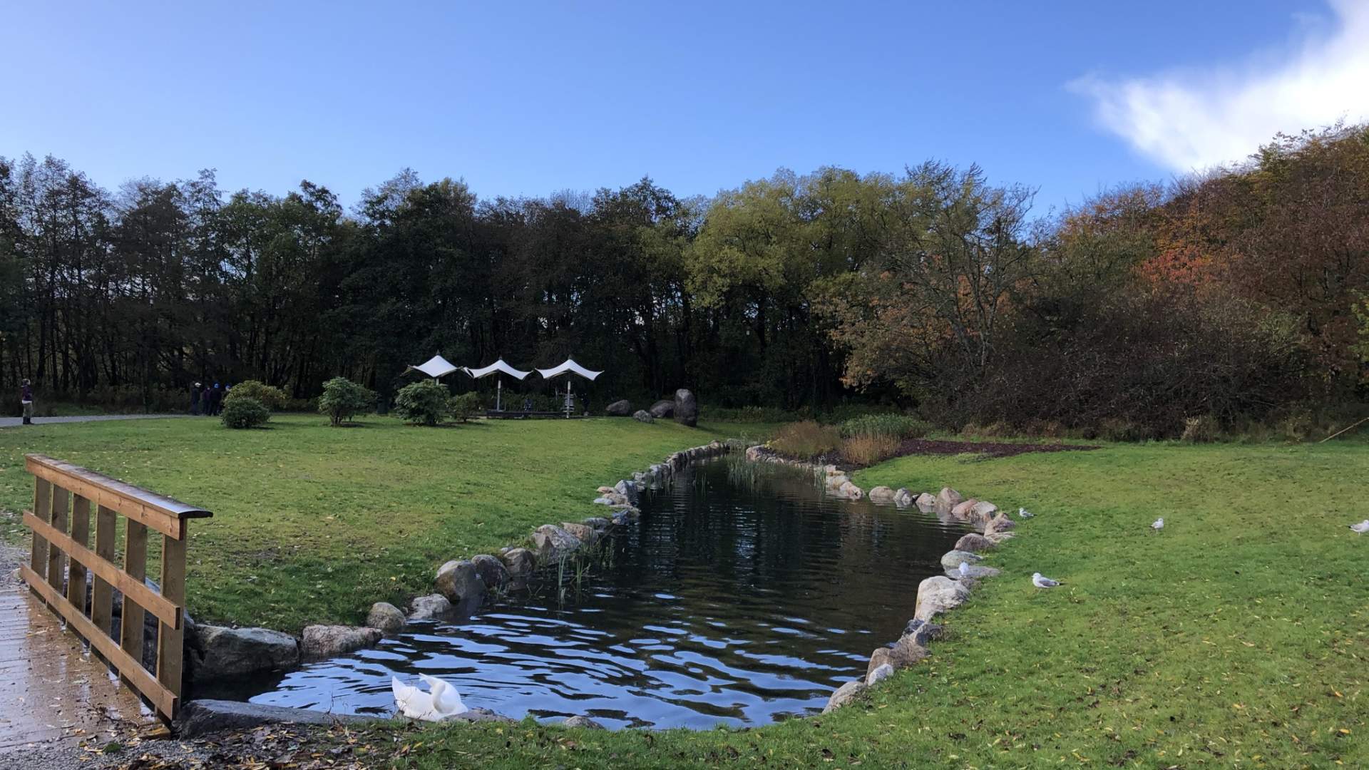 Mosvatnet/Vålandskogen