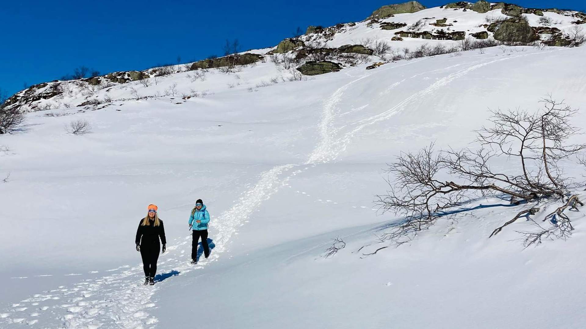 Turguiden Vardesyk i Sauda